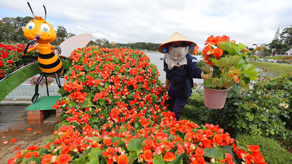 Trang trí tiểu cảnh hoa. Ảnh: C.Thành