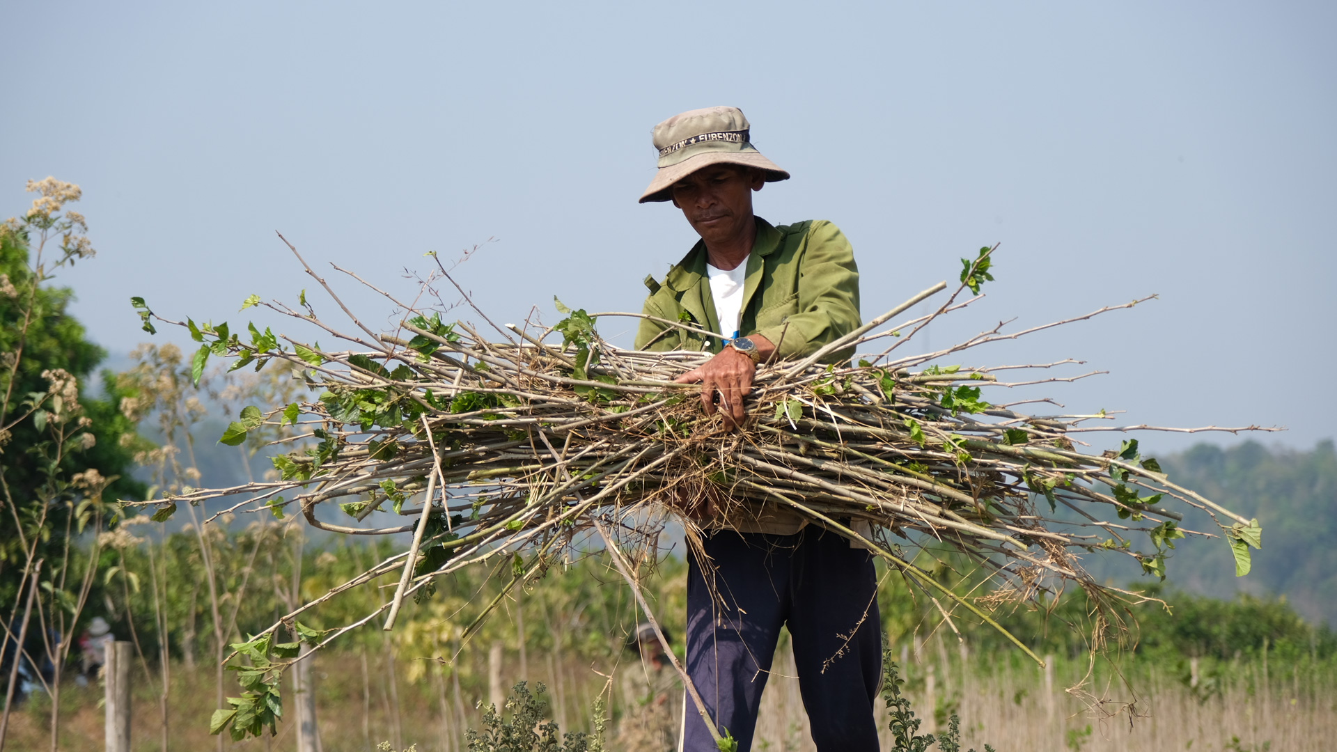 Tạo sinh kế cho lao động nông thôn