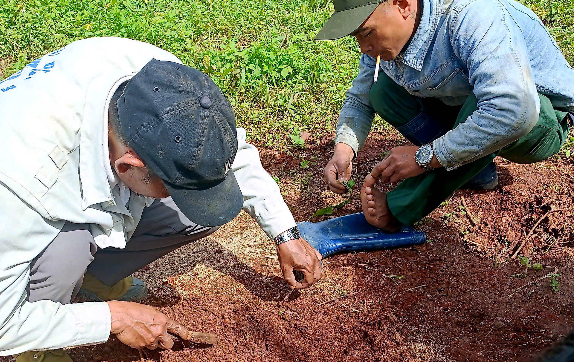 Những thách thức trong công tác giải tỏa đất lâm nghiệp bị lấn chiếm