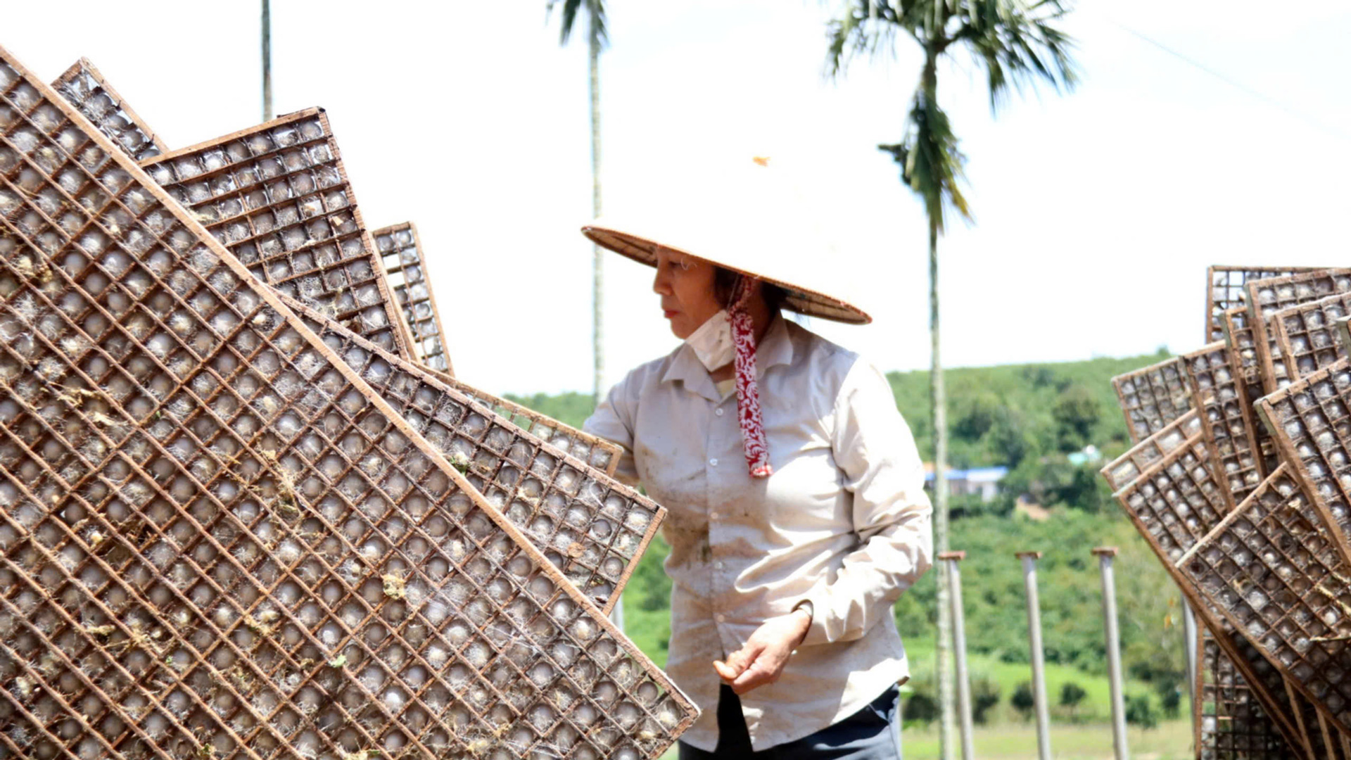 Lâm Hà: Chú trọng đào tạo nghề, giải quyết việc làm cho lao động nông thôn