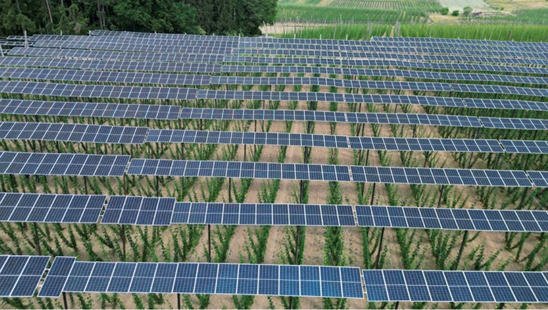 Pin năng lượng mặt trời được lắp tại một đồn điền ở Đức
