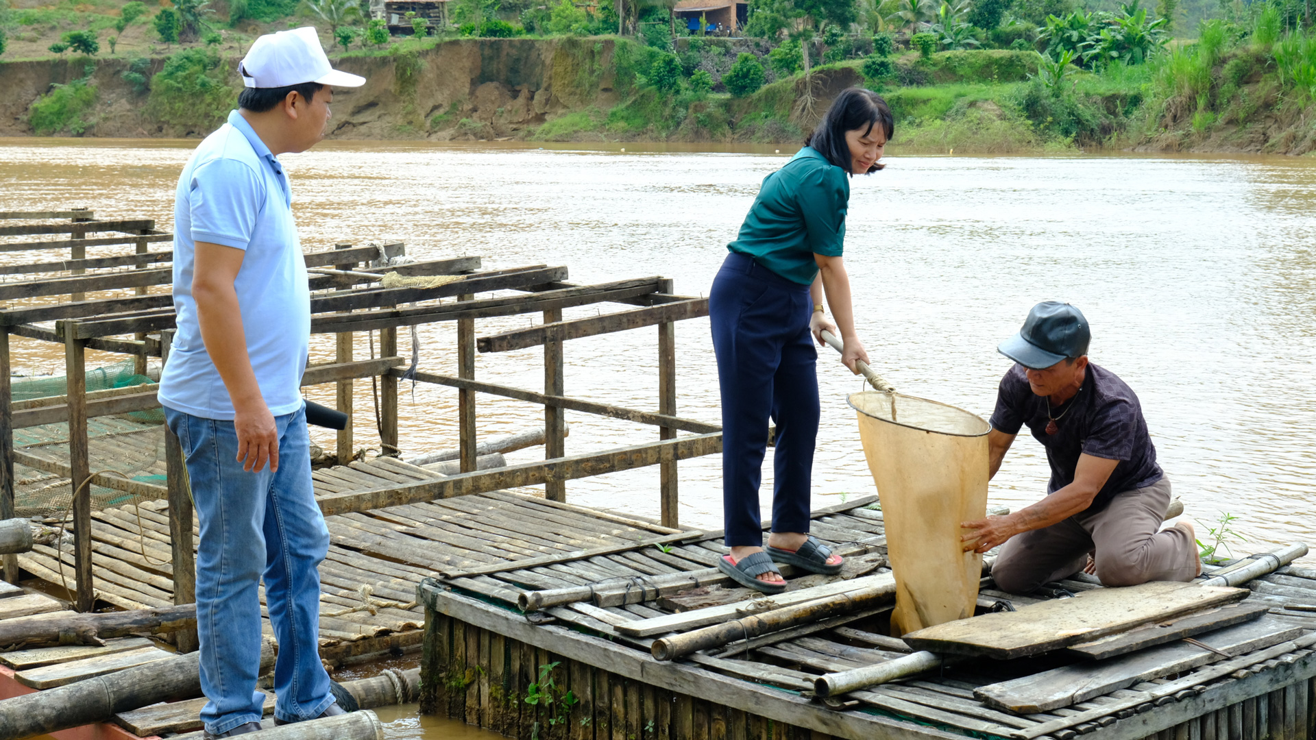 Cát Tiên: Triển vọng từ mô hình nuôi cá chạch lấu trong lồng bè