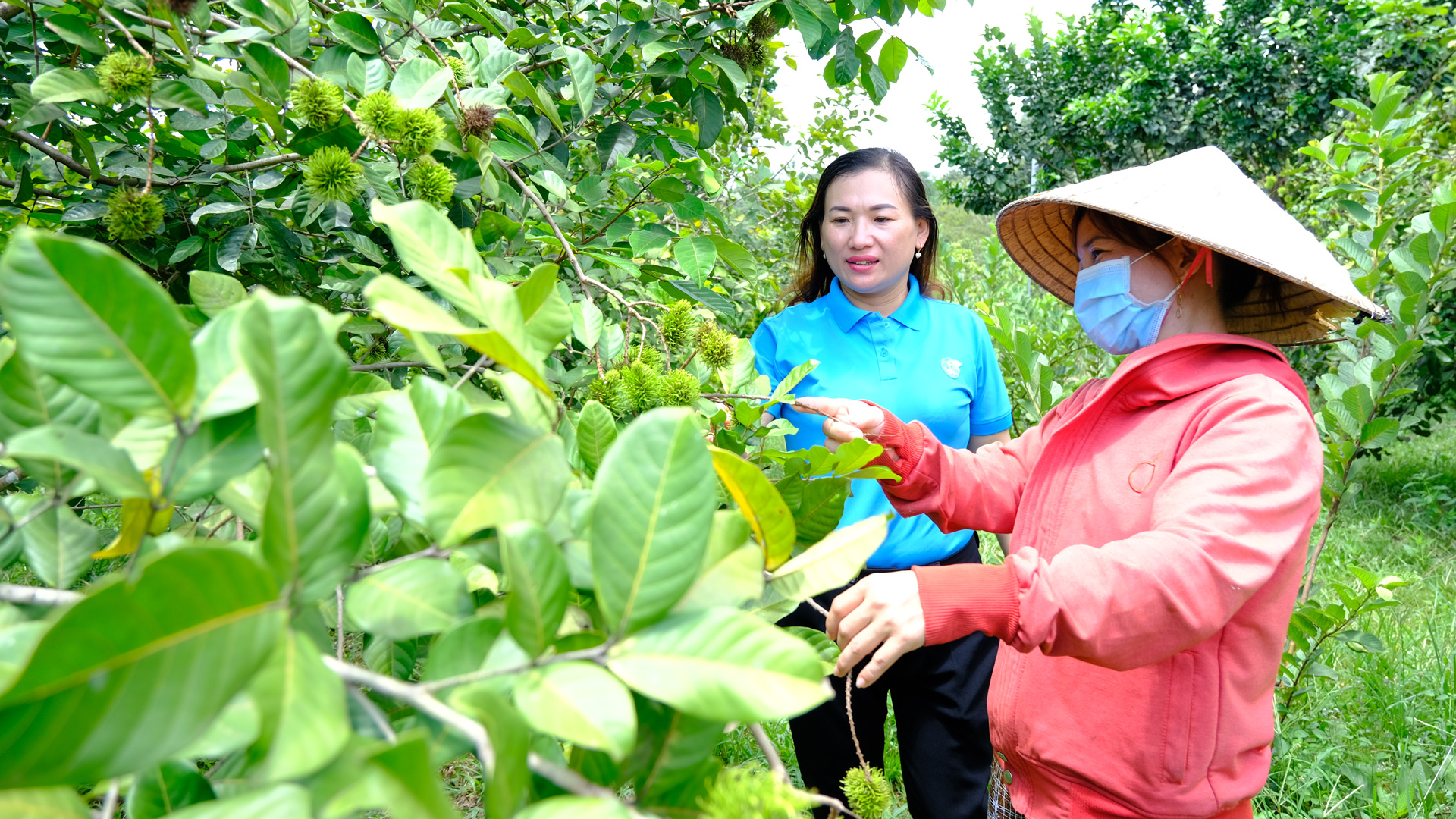 Trợ lực cho hội viên, phụ nữ vượt khó vươn lên