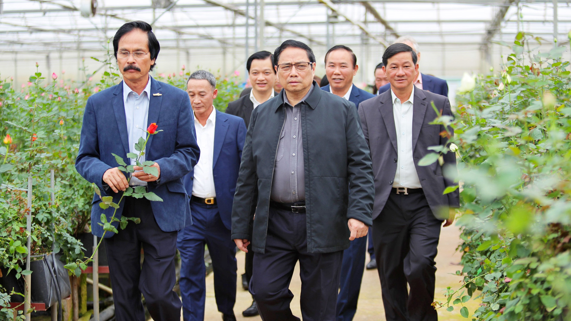 Thủ tướng Phạm Minh Chính thăm Công ty TNHH Dalat Hasfarm - một doanh nghiệp FDI trên địa bàn Lâm Đồng
mỗi năm xuất khẩu hoa đi các nước đạt doanh thu 60 triệu USD