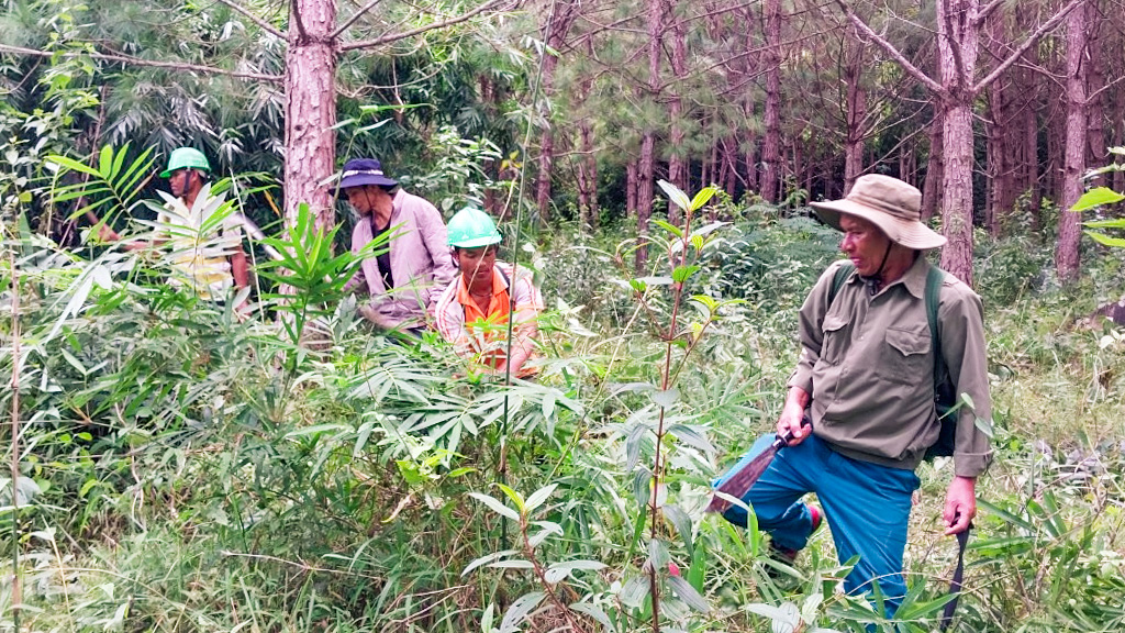Ka La TơnGu ngày càng trách nhiệm hơn với công tác bảo vệ rừng