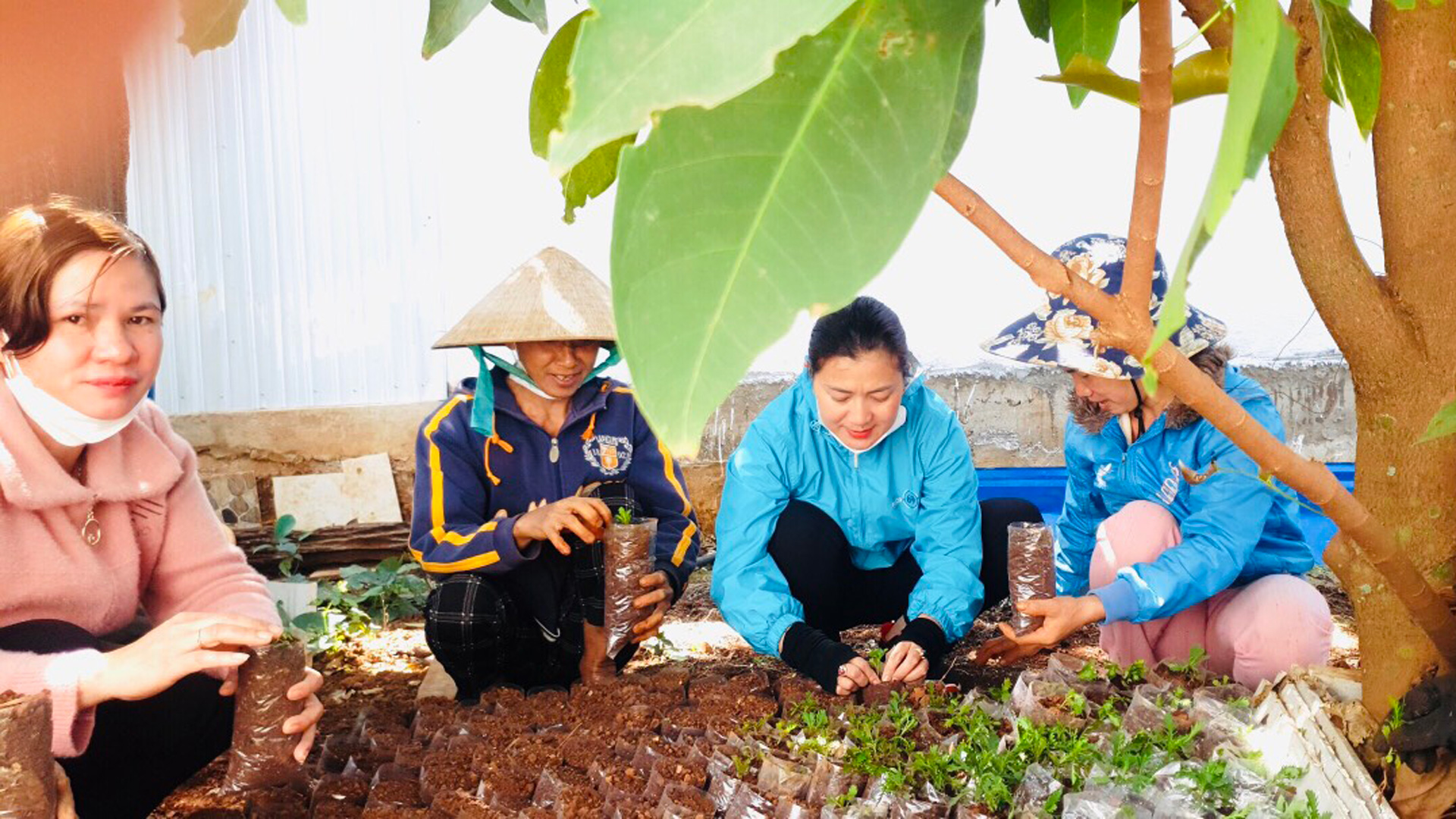 Người dân xã Đinh Lạc tham gia trồng cây xanh xây dựng các tuyến đường nông thôn xanh - sạch - đẹp