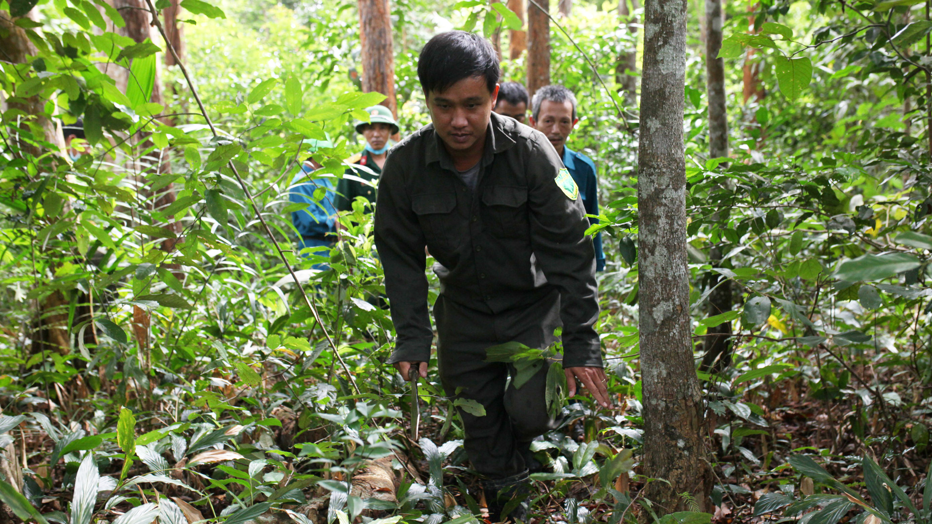 Ðạ Tẻh: Nhiều chuyển biến tích cực trong công tác quản lý, bảo vệ rừng