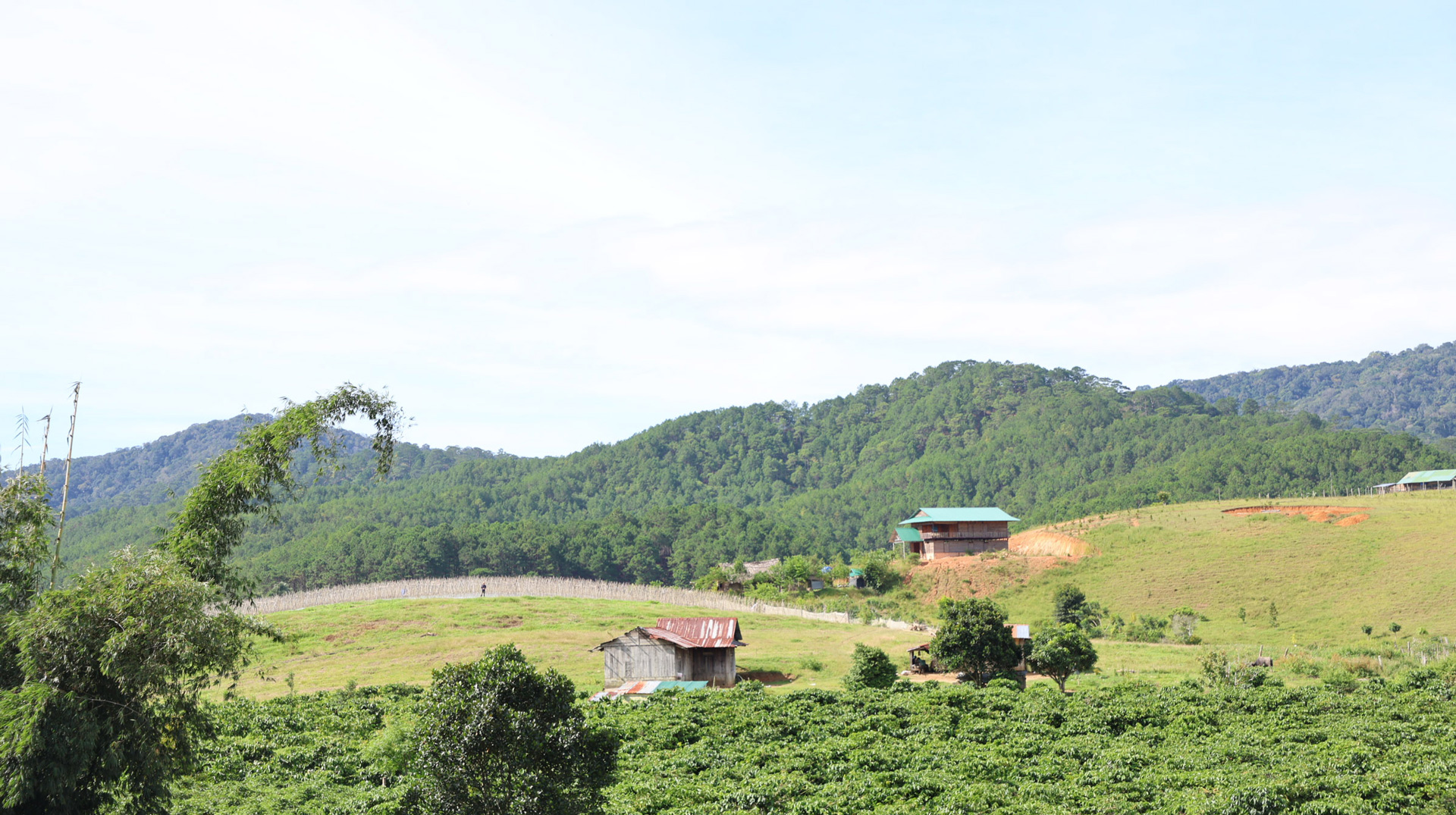 Xã Đa Quyn có hơn 1.000 hộ dân với trên 80% là đồng bào dân tộc thiểu số Churu và K’Ho với thu nhập chính từ trồng cà phê và lúa nước. Vì vậy, với mật độ dân số chỉ khoảng 25 người/km2, thì ra khỏi trung tâm Đa Quyn chỉ có rừng thông, ruộng lúa, vườn cà phê, thỉnh thoảng cũng có những vườn rau xanh… 