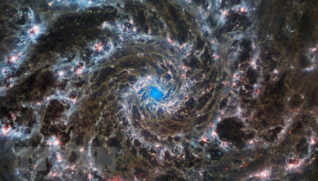 Hình ảnh chụp bởi Kính viễn vọng Không gian James Webb cho thấy tâm của M74, một thiên hà xoắn ốc cách Trái Đất 32 triệu năm ánh sáng, bao gồm khoảng 100 tỷ ngôi sao