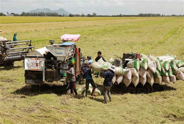 Việt Nam sẽ cung ứng cho thị trường thế giới trên 7,5 triệu tấn gạo trong năm nay