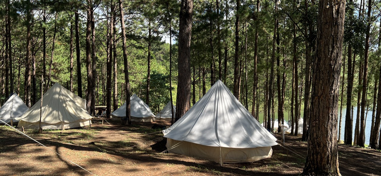 Tổ chức cắm trại lưu trú không phép trong rừng thông tại tiểu khu 162 hồ Tuyền Lâm 