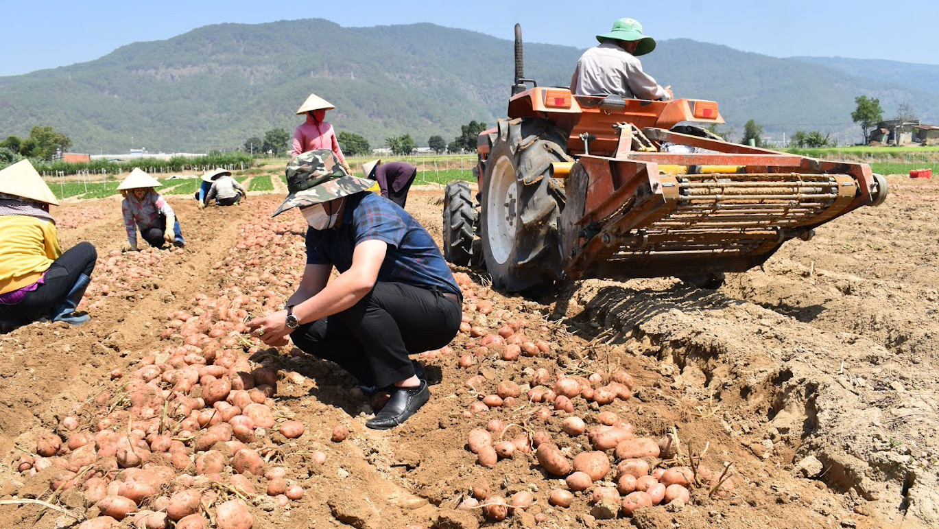 Việc tăng cường cơ giới hóa trong sản xuất nhằm giảm giá thành bán ra, nâng cao 
uy tín và giá trị thương hiệu nông sản Đà Lạt