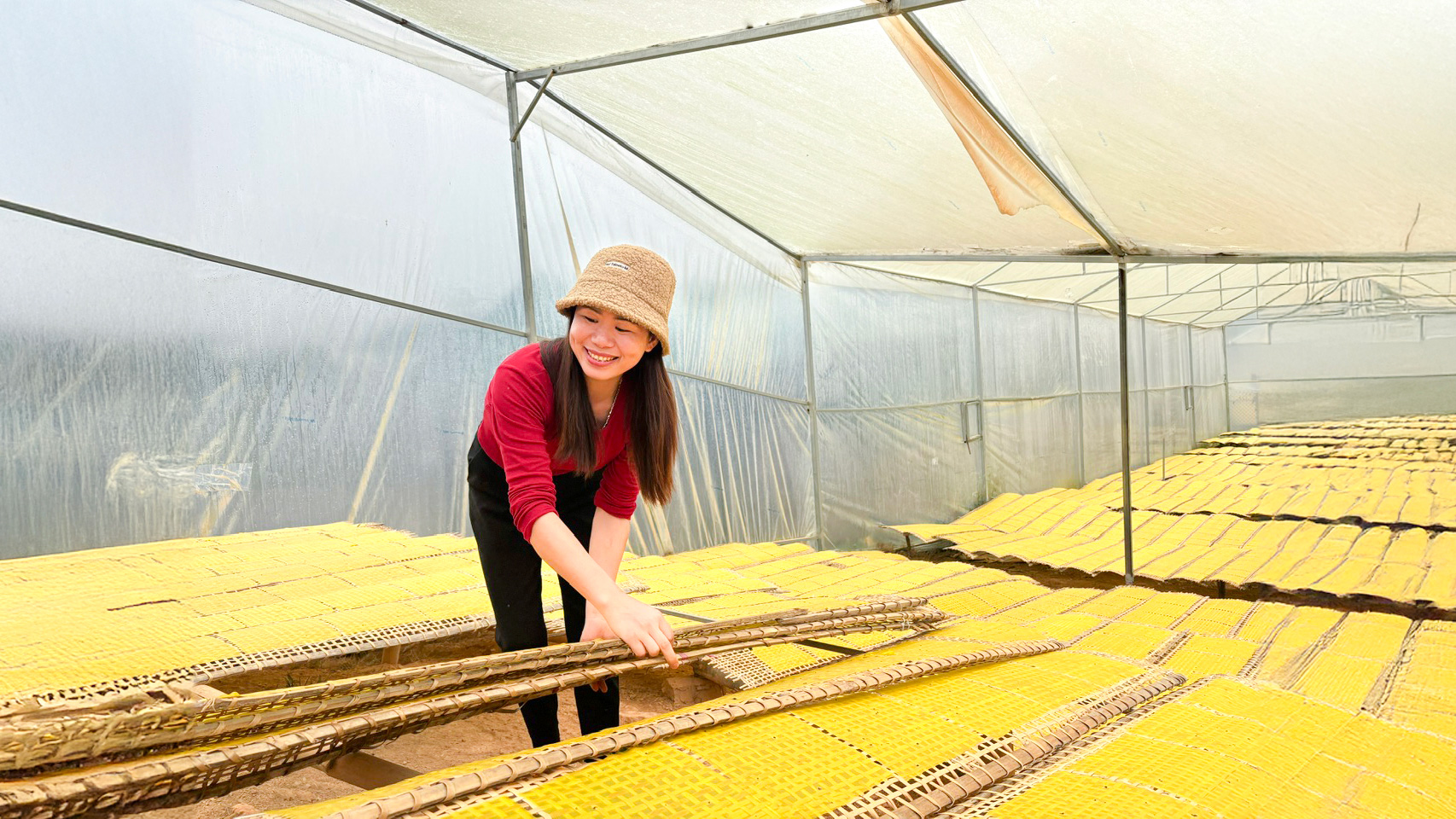 Bánh tráng làng Tày
được phơi khô trong nhà kính