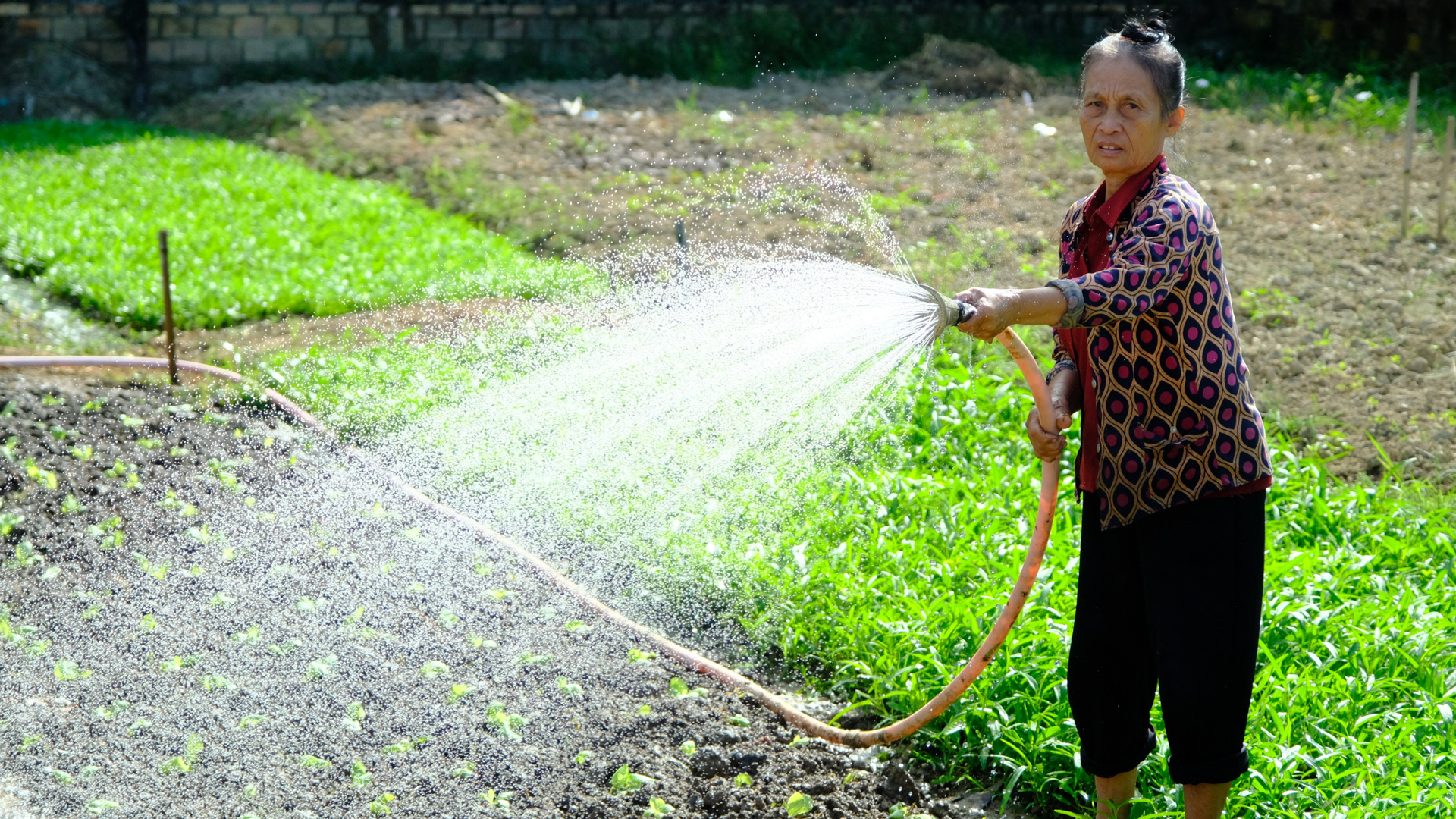 Cát Tiên: Nông thôn mới, diện mạo mới, sức sống mới