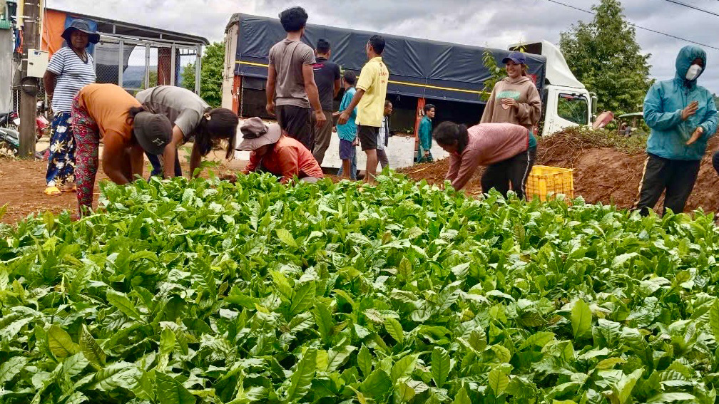 Cát Tiên: Nâng cao đời sống người dân vùng đồng bào DTTS