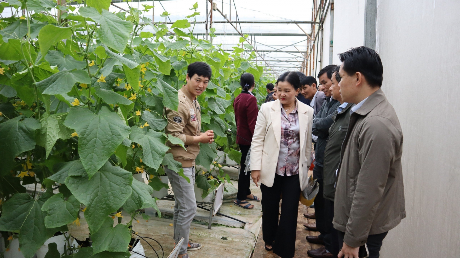 Đoàn cán bộ lớp bồi dưỡng cán bộ quy hoạch Ủy viên Ban chấp hành Đảng bộ tỉnh Lâm Đồng đi thực tế tại Hợp tác xã dịch vụ Nông nghiệp tổng hợp An Phú.