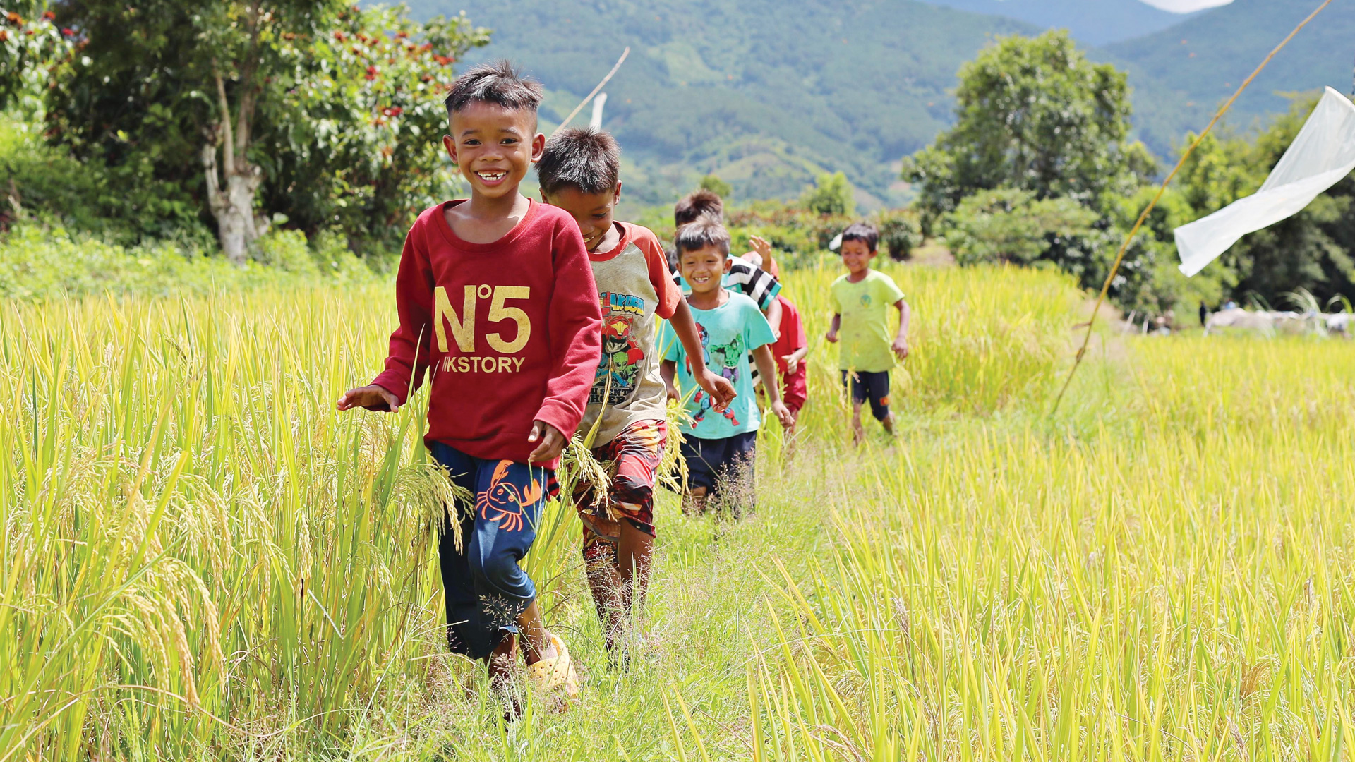 Trẻ em huyện Đam Rông vui chơi trên cánh đồng lúa sắp vào mùa thu hoạch. Ảnh: Chính Thành