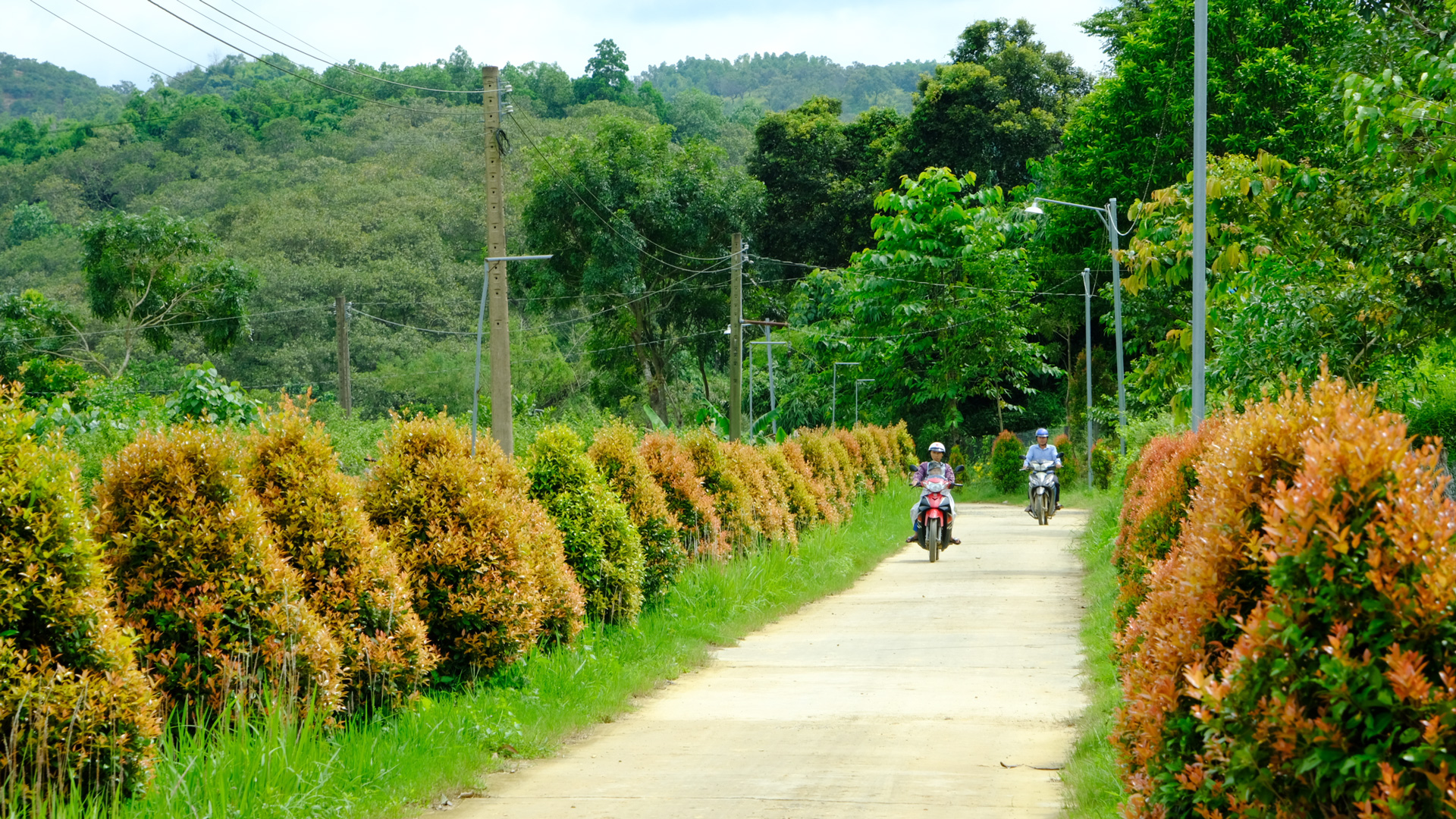 Người dân huyện Cát Tiên chung sức, đồng lòng xây dựng các tuyến đường xanh, sạch, đẹp