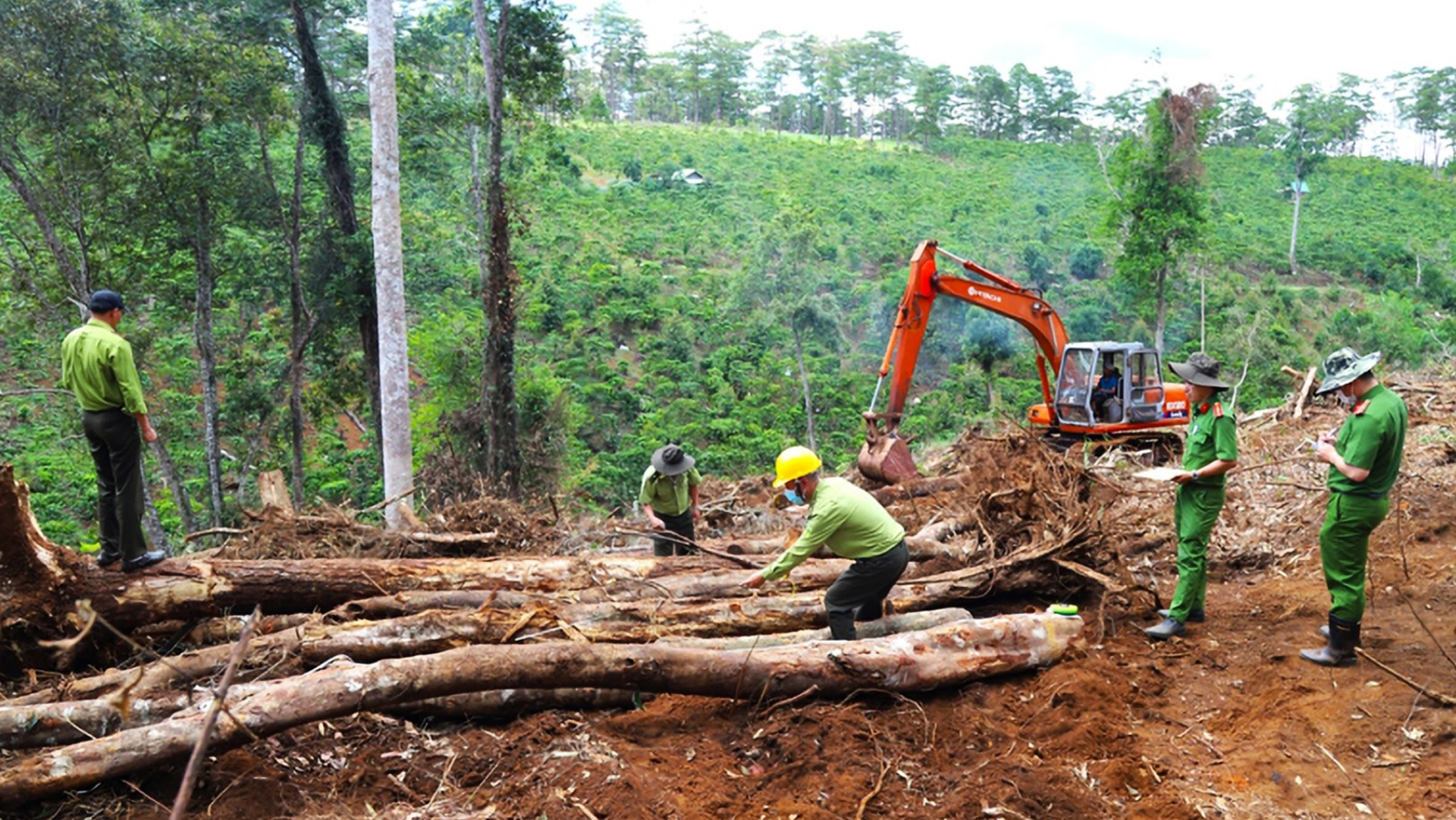 Cơ quan chức năng khám nghiệm hiện trường hơn 1,9 ha rừng bị triệt hạ tại Bảo Lâm