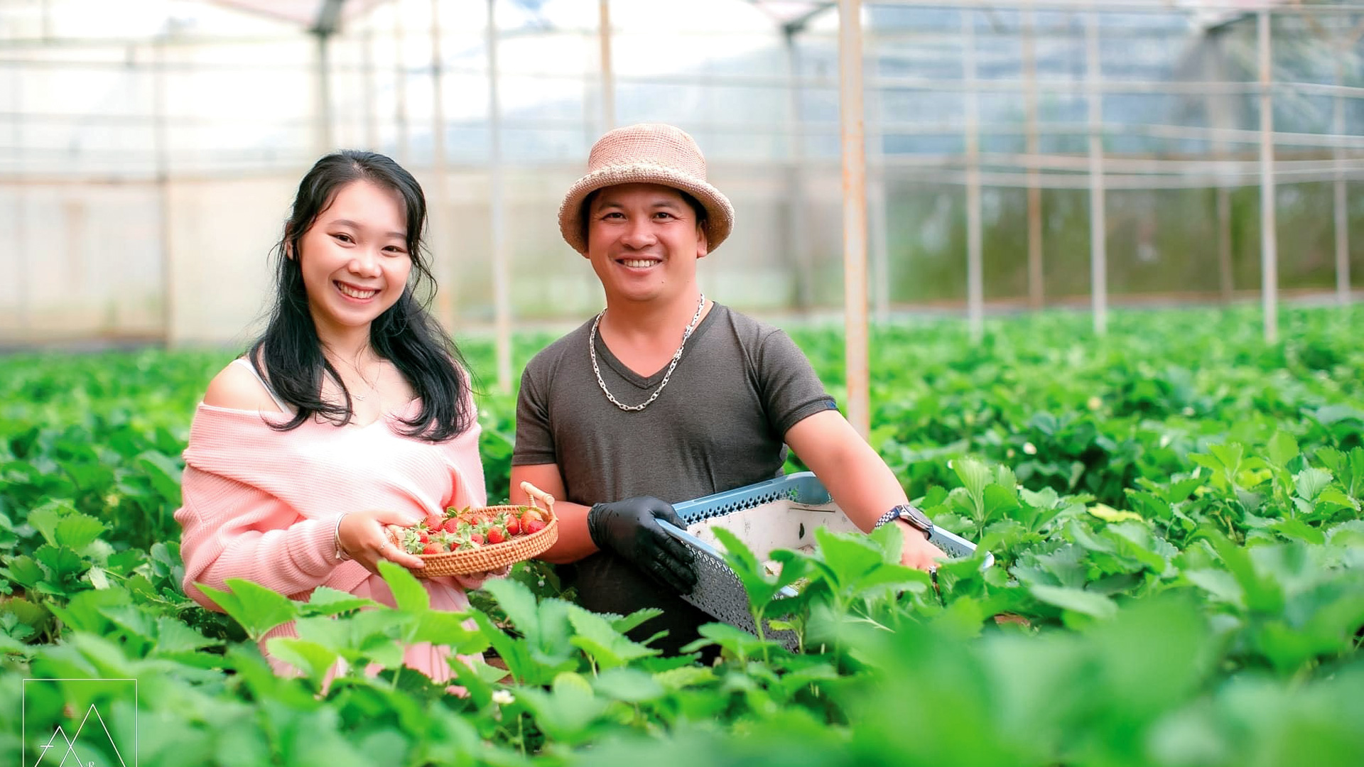 Nửa đầu nhiệm kỳ, nông nghiệp công nghệ cao của Lâm Đồng
đã bước vào giai đoạn tăng tốc
cả chiều rộng và chiều sâu