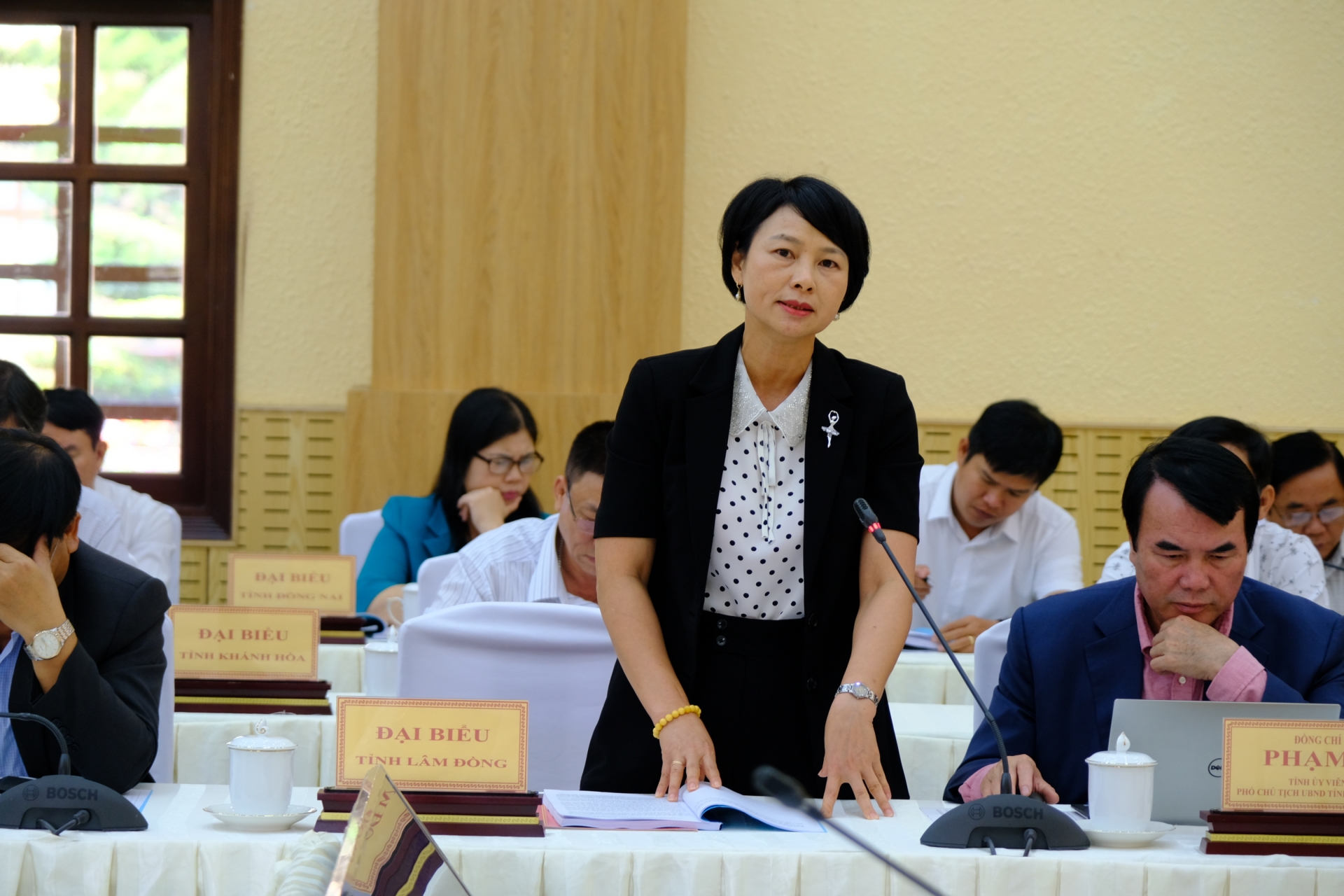 Đồng chí Phạm Thị Phúc - Ủy viên Ban Thường vụ, Trưởng ban Dân vận Tỉnh ủy chia sẻ kinh nghiệm của tỉnh Lâm Đồng tại hội nghị.