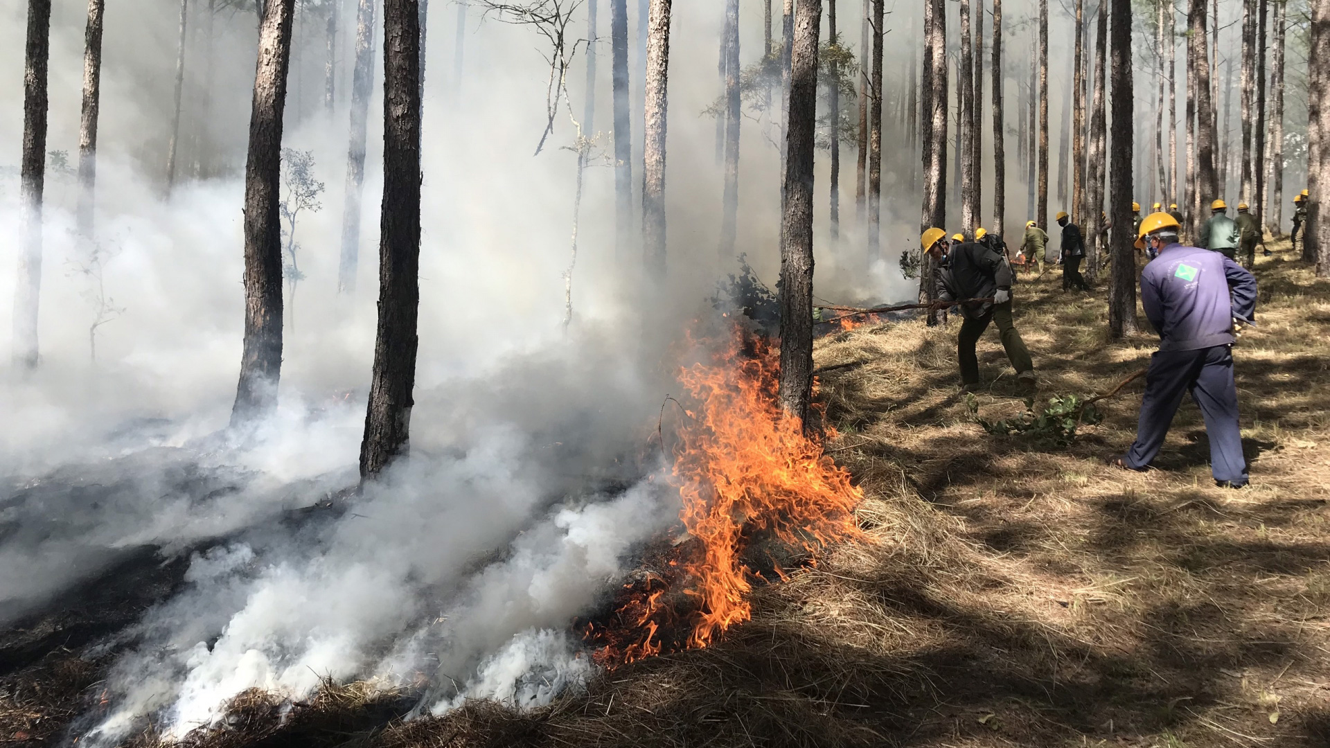 Ban Thường vụ Tỉnh ủy yêu cầu tăng cường công tác phòng, chống cháy nổ và cháy rừng trong mùa khô