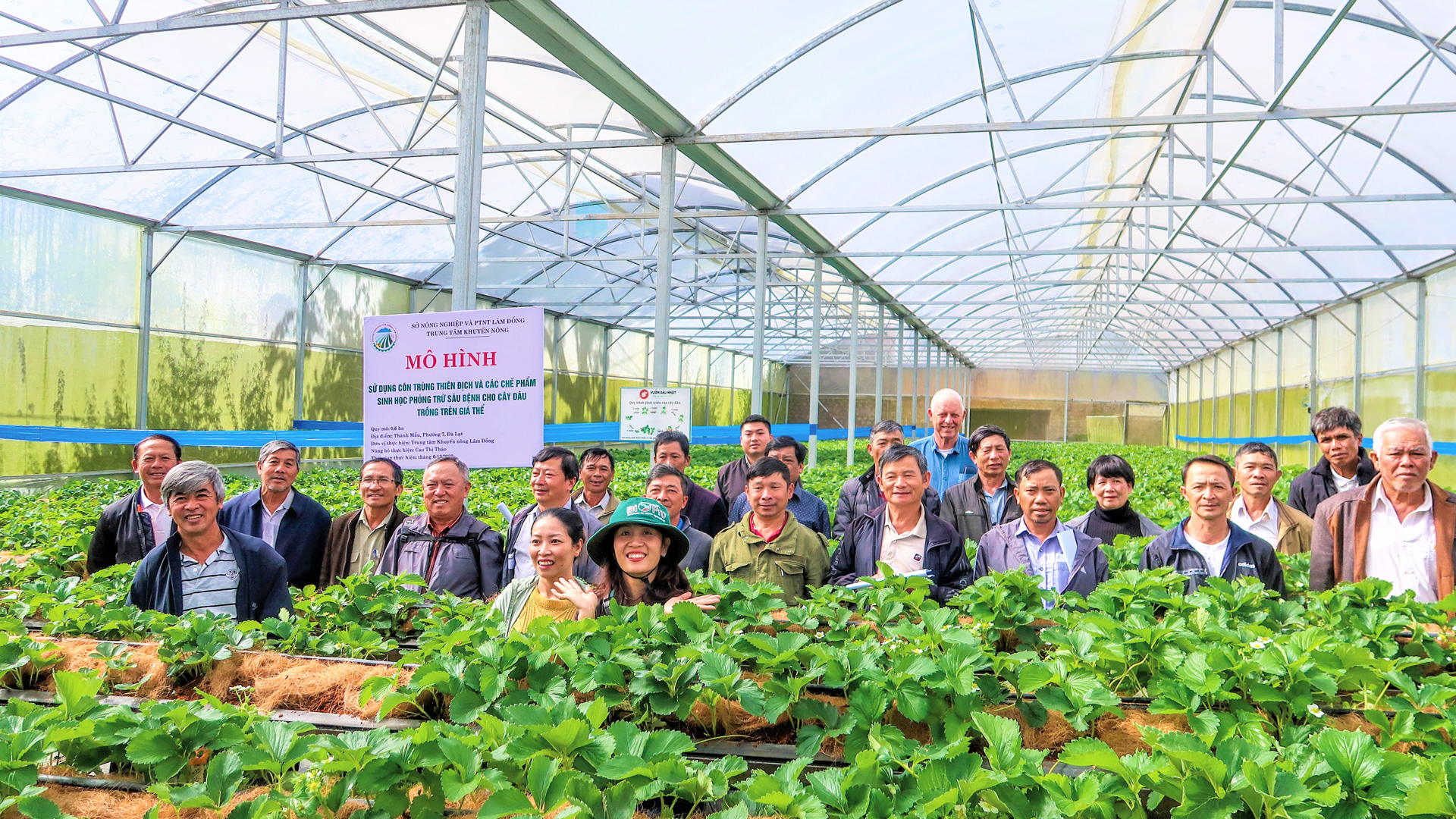 Nhân rộng mô hình thiên địch Bio Pro của Công ty Dalat Hasfarm bảo vệ cây trồng sản xuất theo giải pháp an toàn bền vững