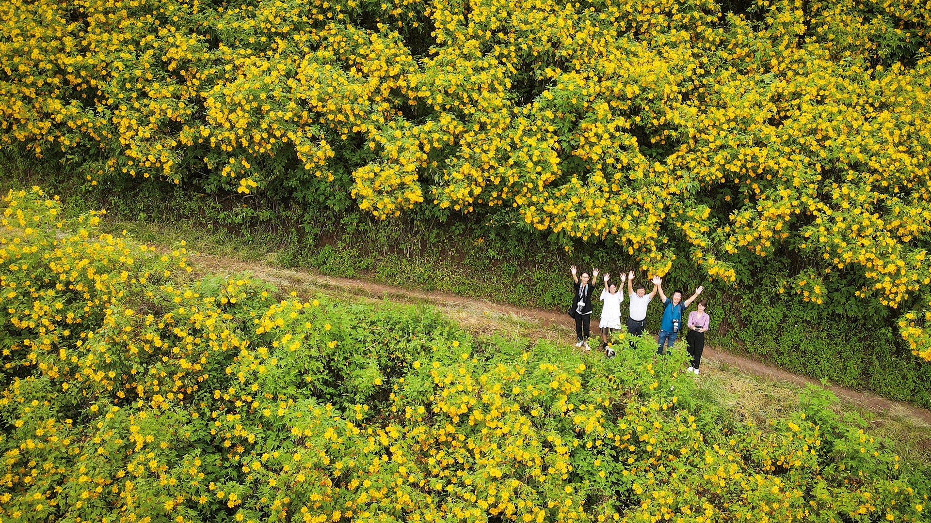 Du khách thích thú chụp hình với hoa dã quỳ khi đến Đà Lạt