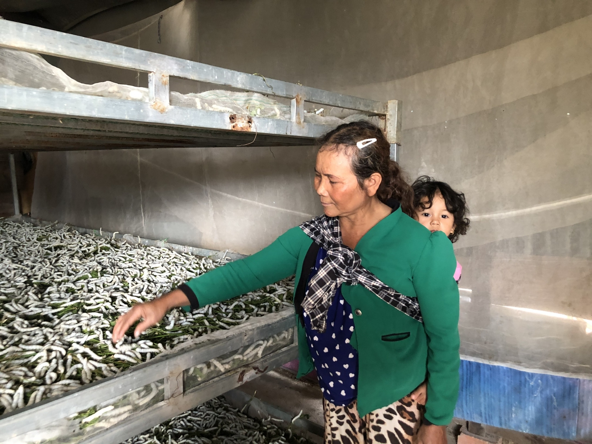 Đưa nghề trồng dâu nuôi tằm giảm nghèo về vùng đồng bào dân tộc thị trấn Đinh Văn, huyện Lâm Hà