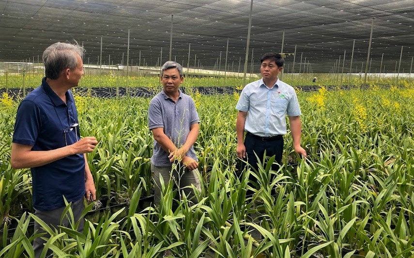 Di Linh nắm bắt cơ hội trồng hoa xuất khẩu
