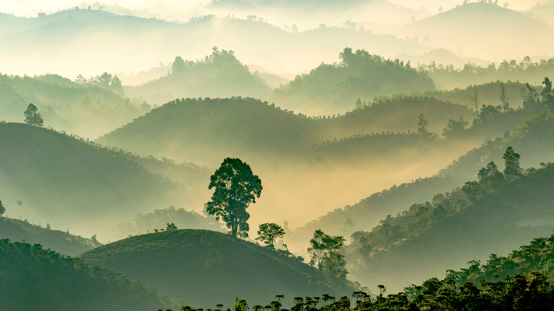 Sương giăng. Ảnh: Nguyễn Văn Thương