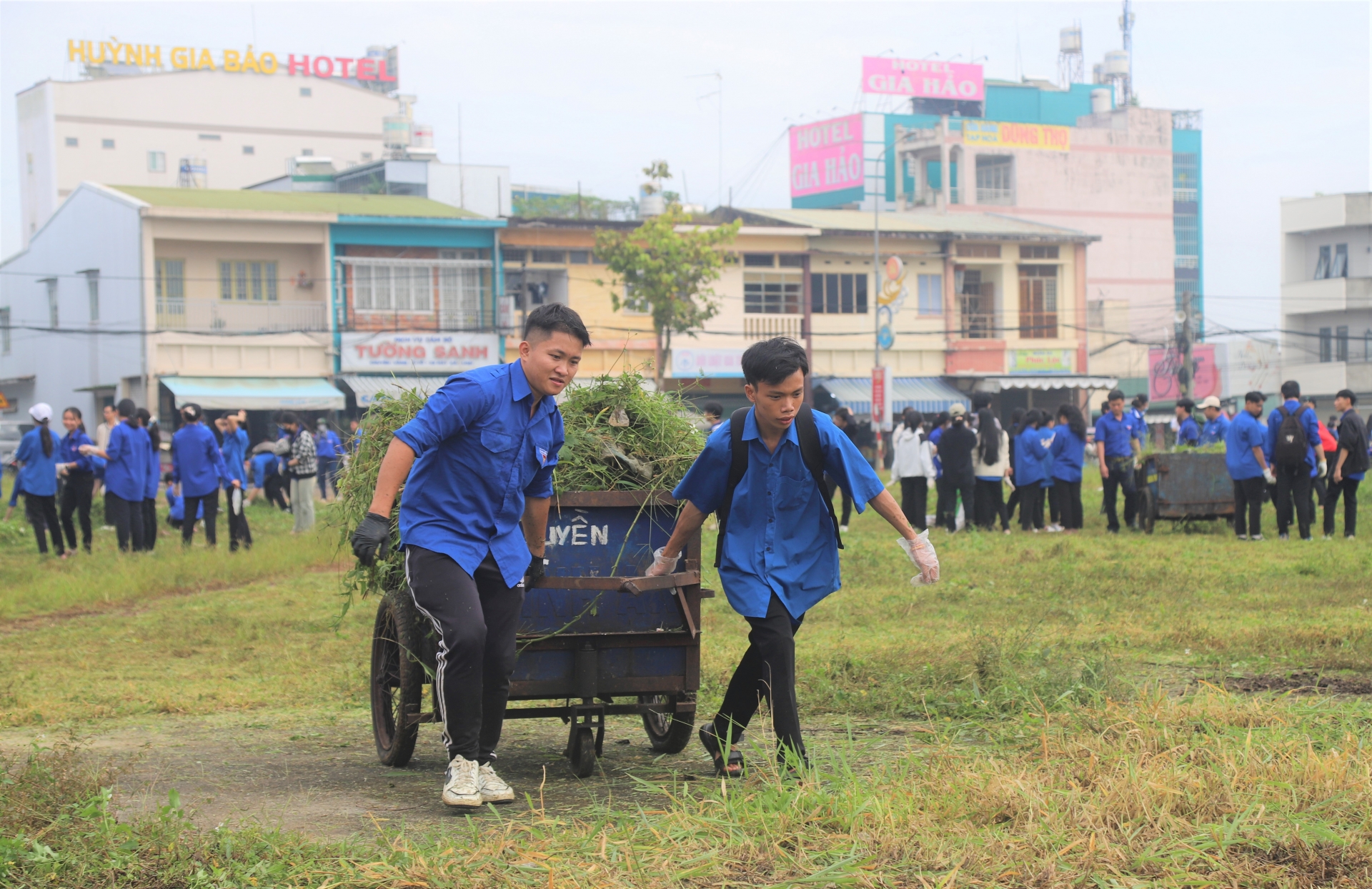 Các bạn trẻ tích cực thu gom rác, tập kết cỏ sau khi được cắt dọn