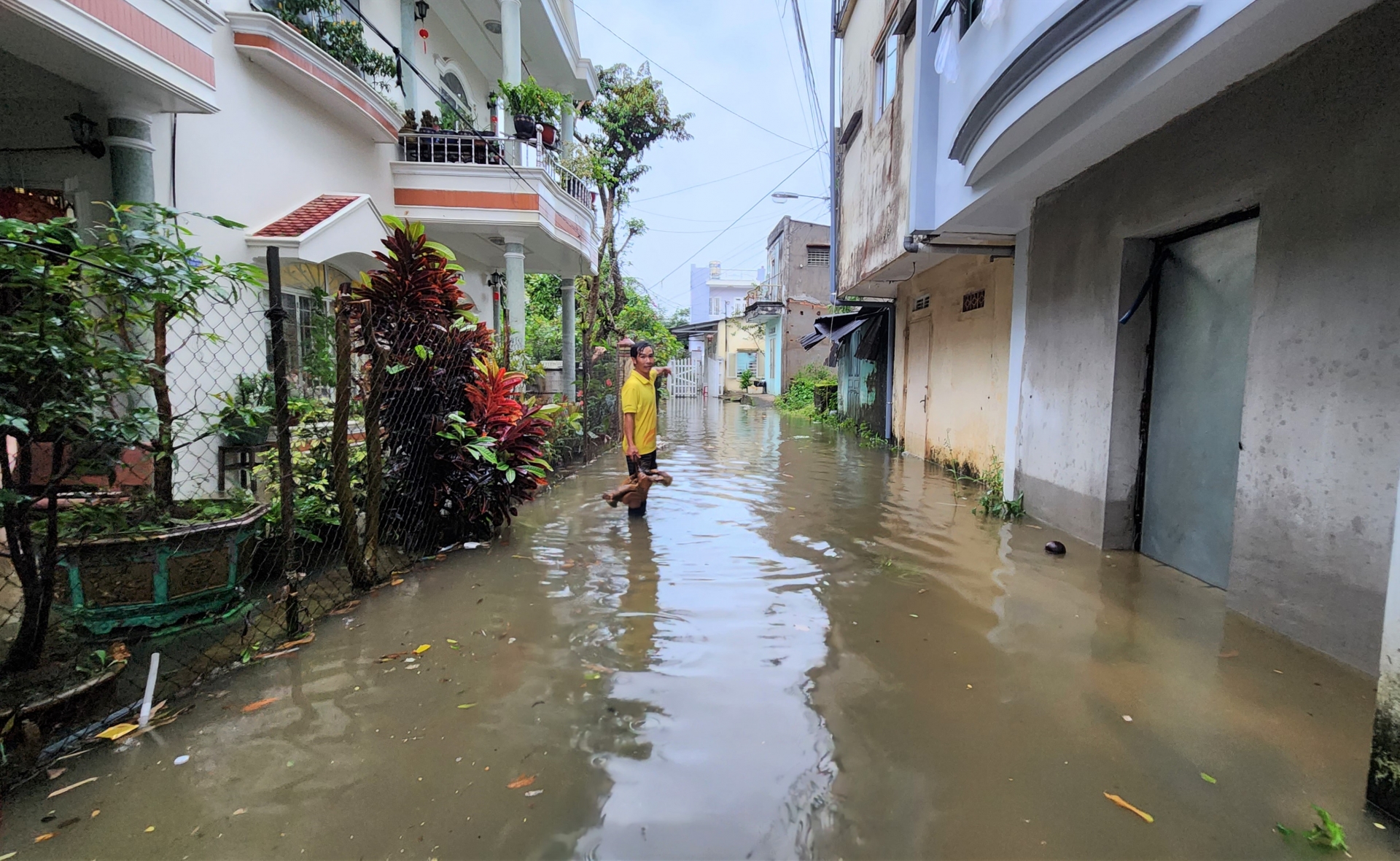 Bảo Lộc: Mưa lớn khiến hàng chục nhà dân bị ngập nặng, nhiều cây xanh ngã đổ