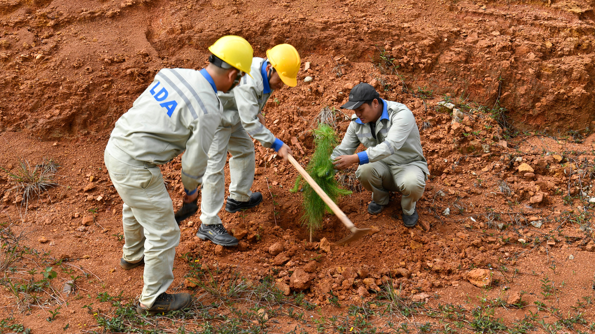 Cho cuộc sống thêm xanh. Ảnh: Nguyễn Văn Thương