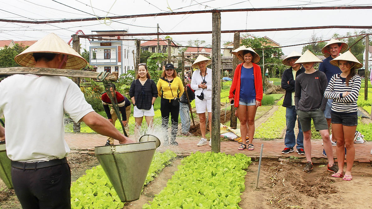 Du khách tham quan làng rau Trà Quế