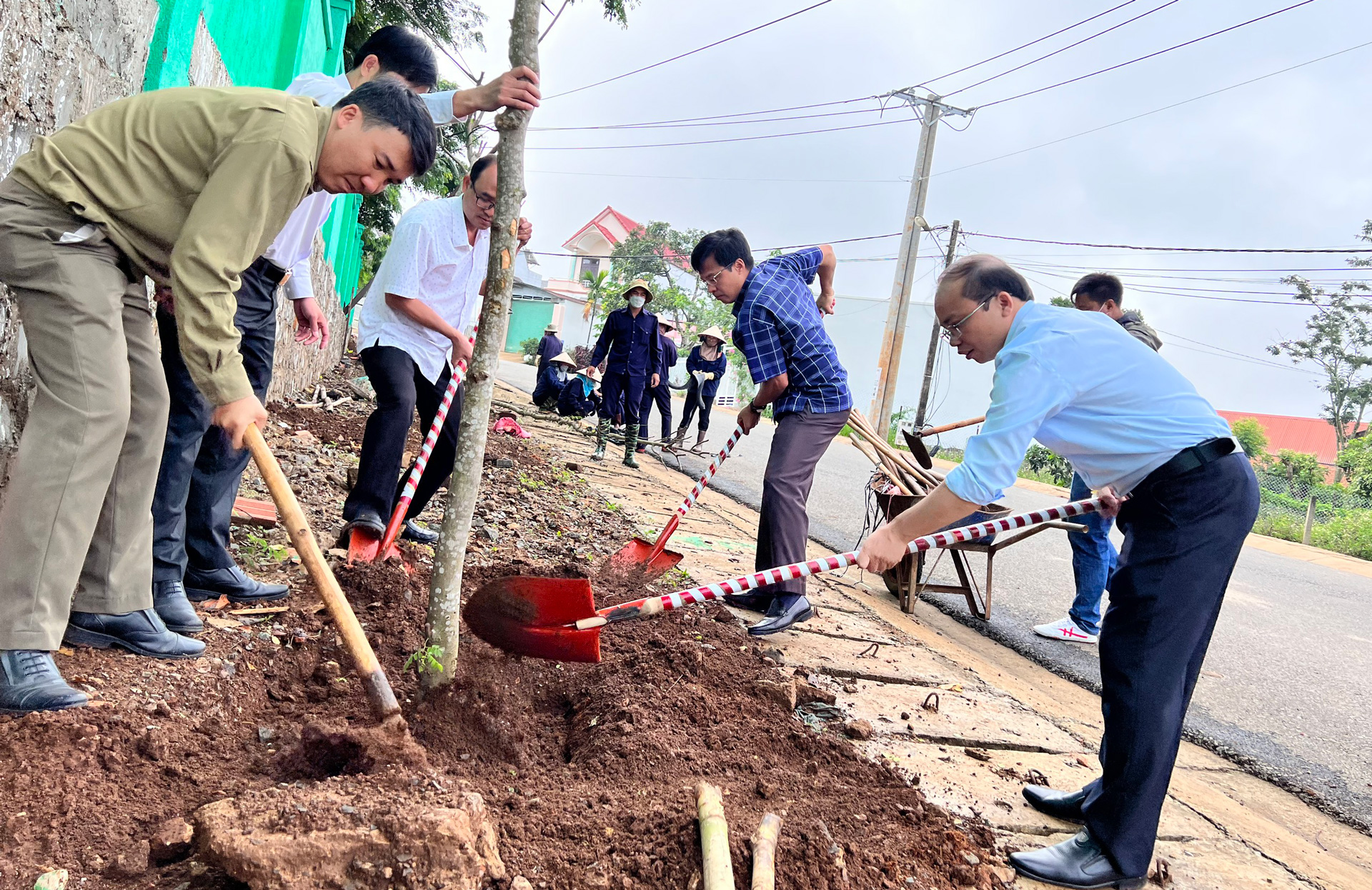 Di Linh triển khai hiệu quả mục tiêu trồng 4,9 triệu cây xanh