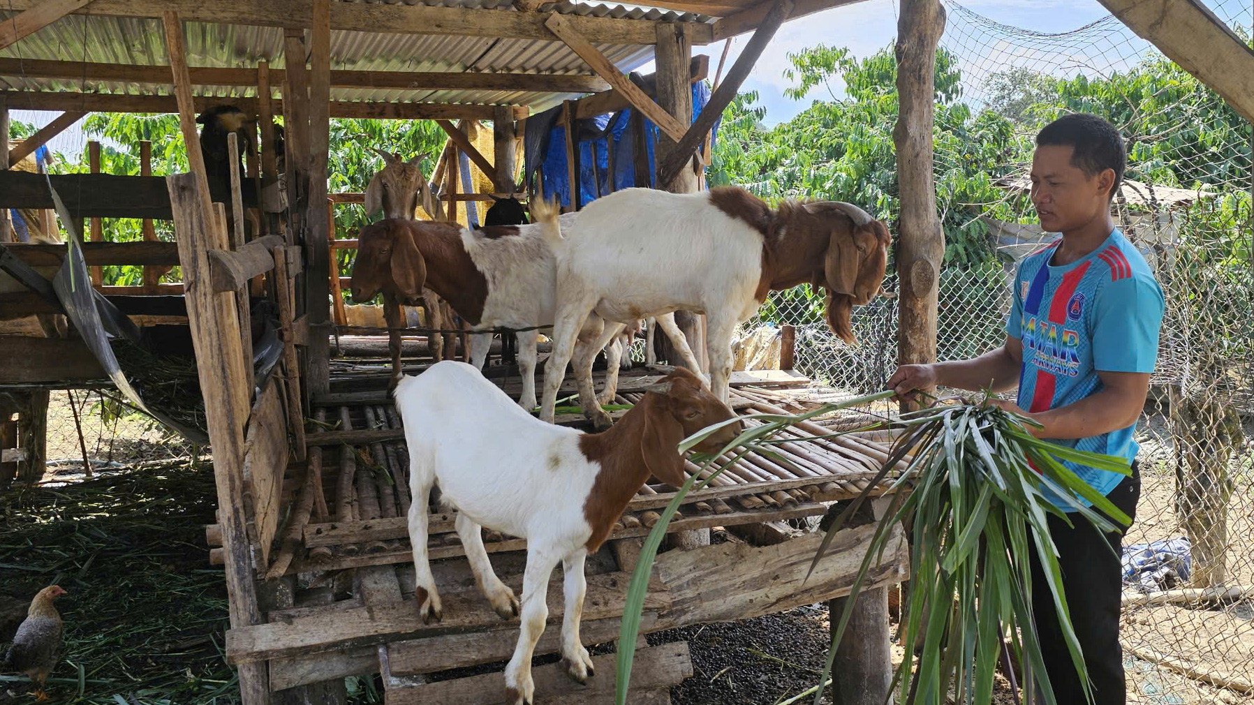 Vượt khó làm kinh tế