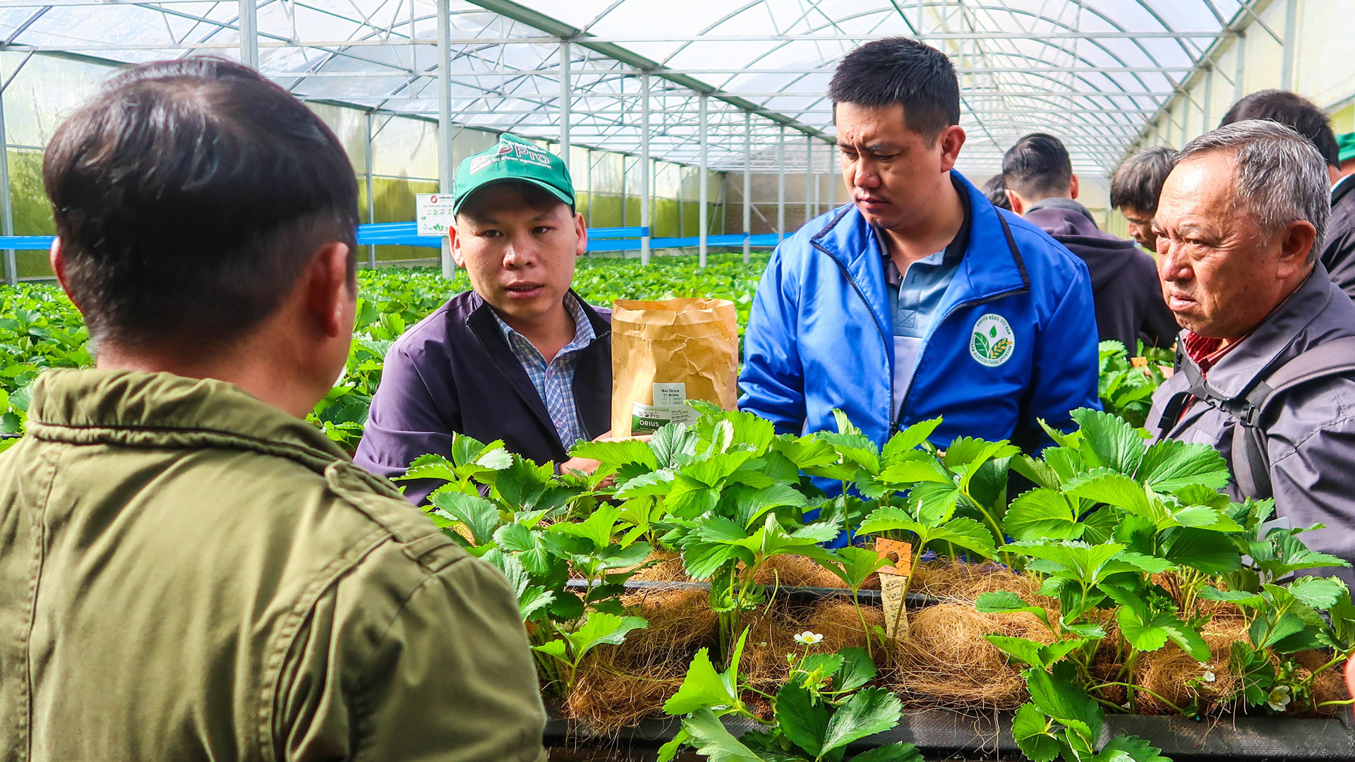 Khuyến nông - cầu nối liên thông với thị trường