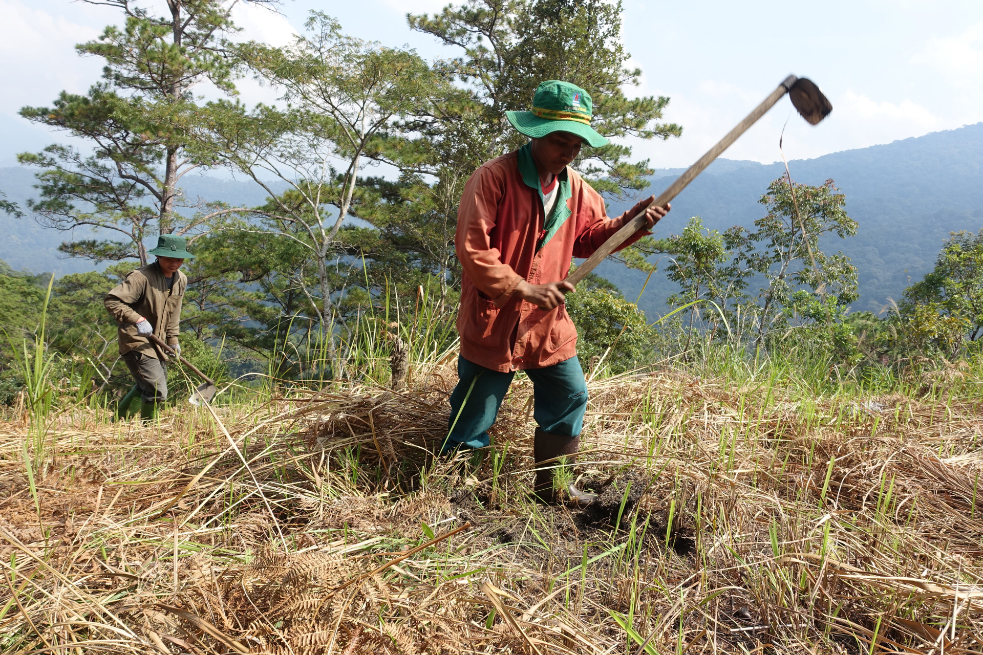 'Chống suy thoái rừng, tăng diện tích che phủ rừng là một 
trong những ưu tiên hàng đầu của tỉnh Lâm Đồng'