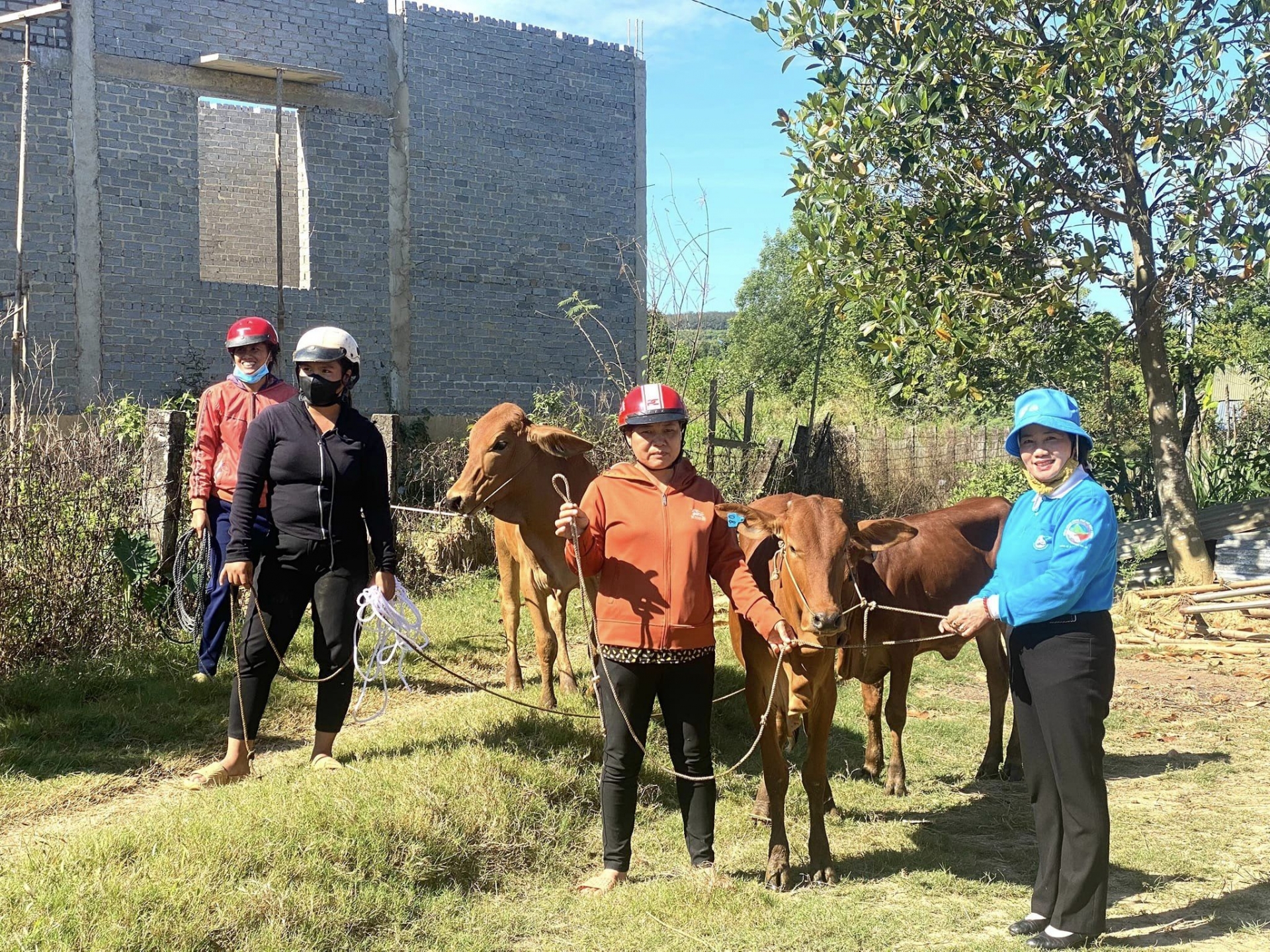 Cát Tiên: Trao tặng 14 bò giống cho hội viên phụ nữ khó khăn