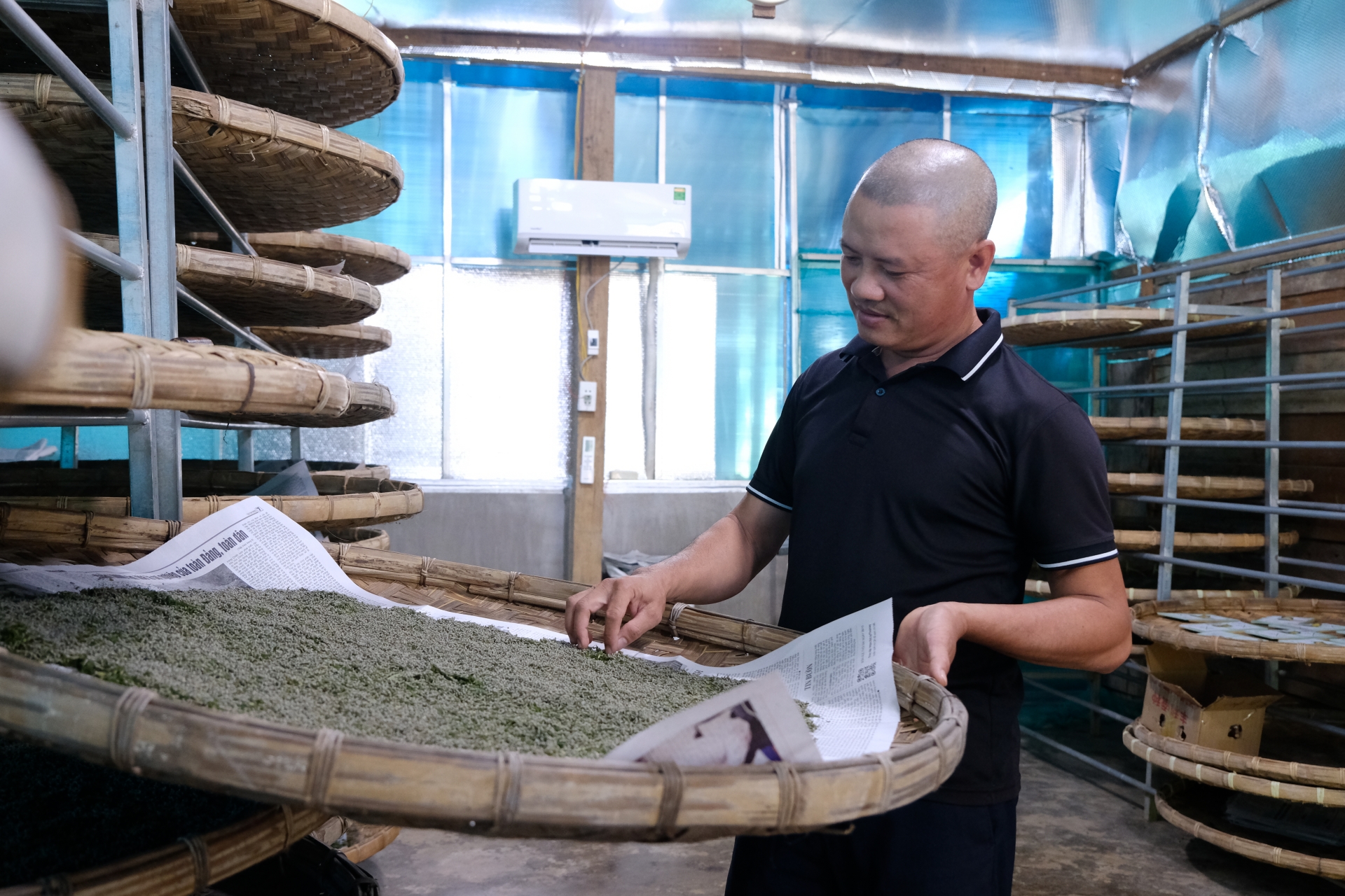 Hiện tại gia đình anh Lâm đang nuôi tằm giống để cung cấp cho thành viên hợp tác xã và một số khu vực lân cận.