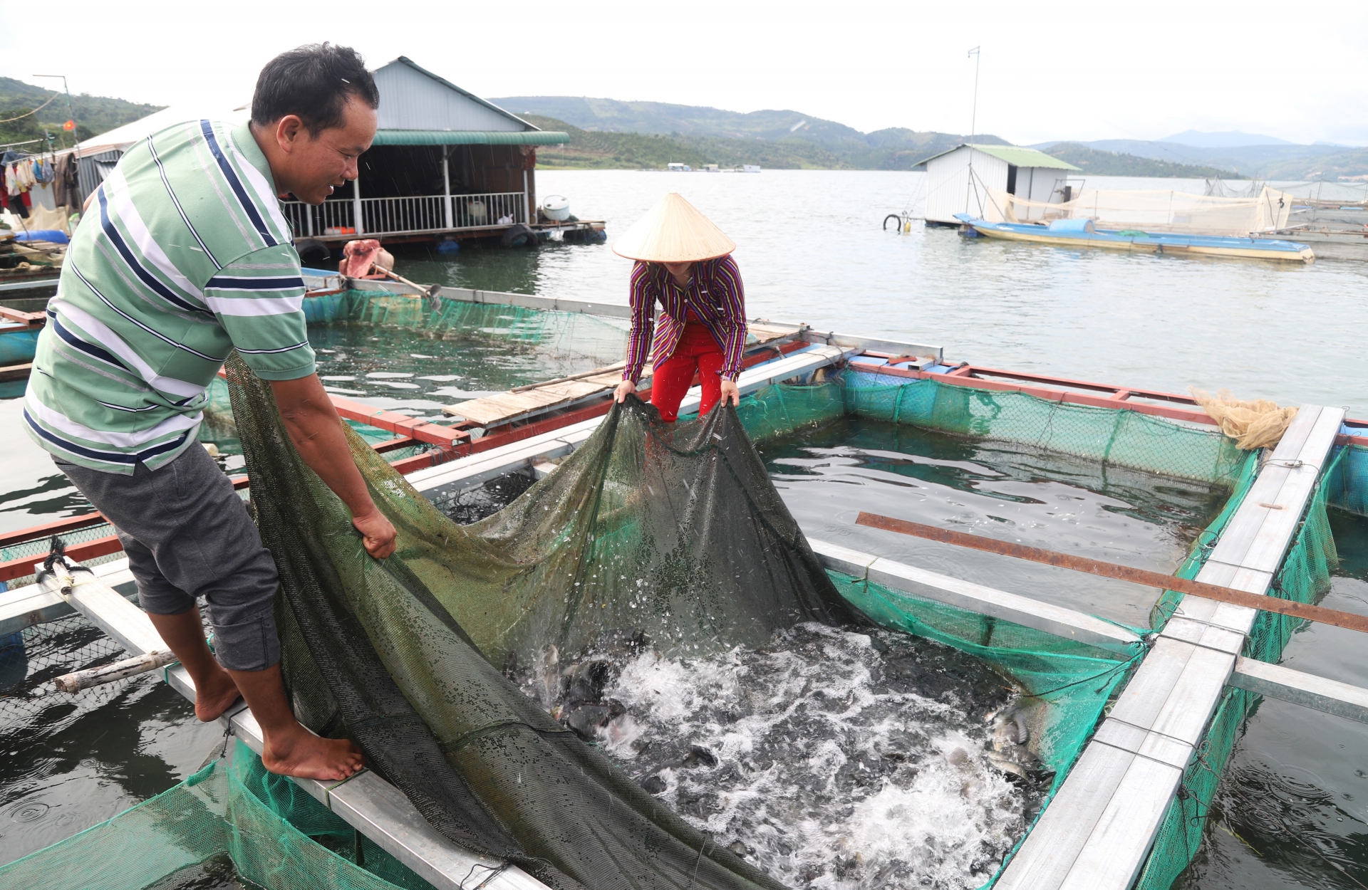 Ngoài việc đánh bắt cá tự nhiên, bà con còn đầu tư nuôi trồng thủy sản để ổn định cuộc sống