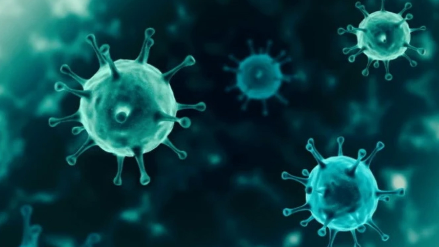 Bộ Y tế thông tin về biến thể JN.1 của virus SARS-CoV-2 gia tăng nhanh