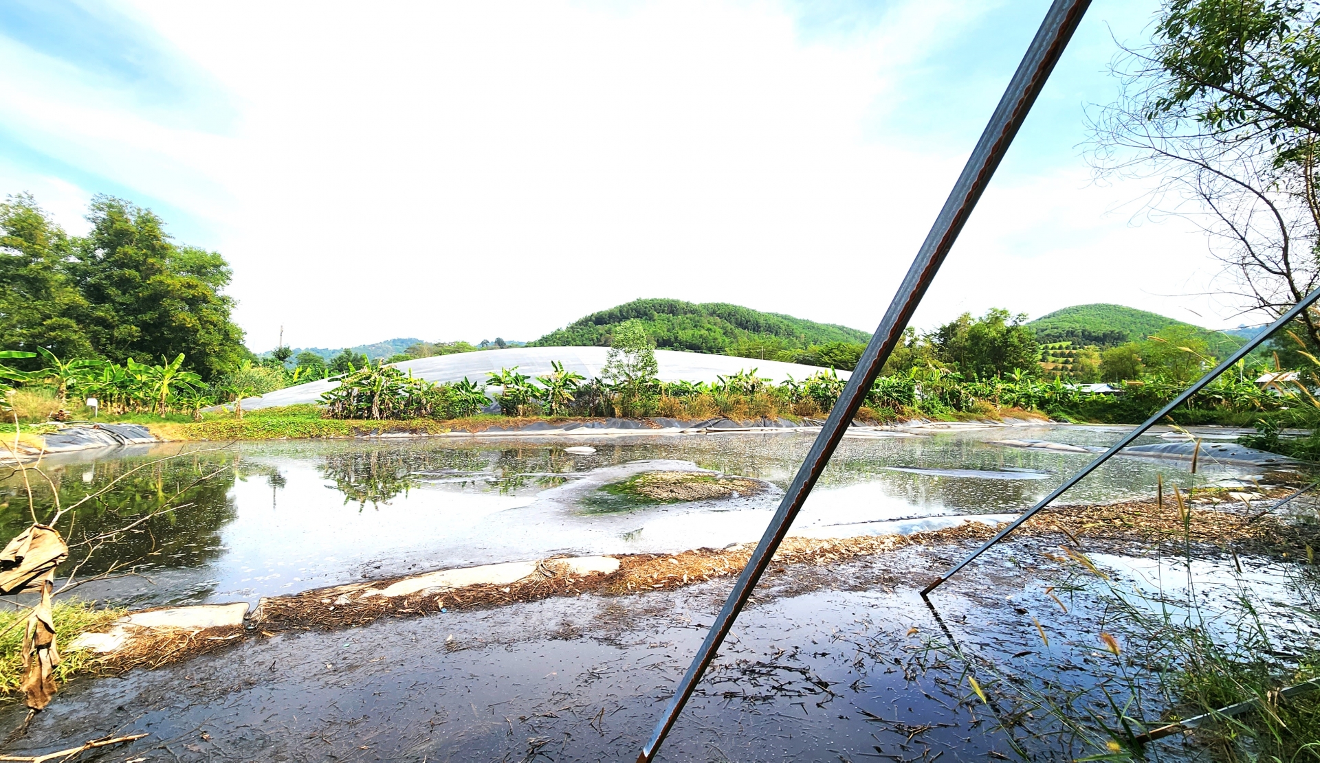 Hồ chứa chất thải tại trại heo Trường Thịnh Farm là một trong những nguyên nhân gây ô nhiễm môi trường khiến người dân bức xúc