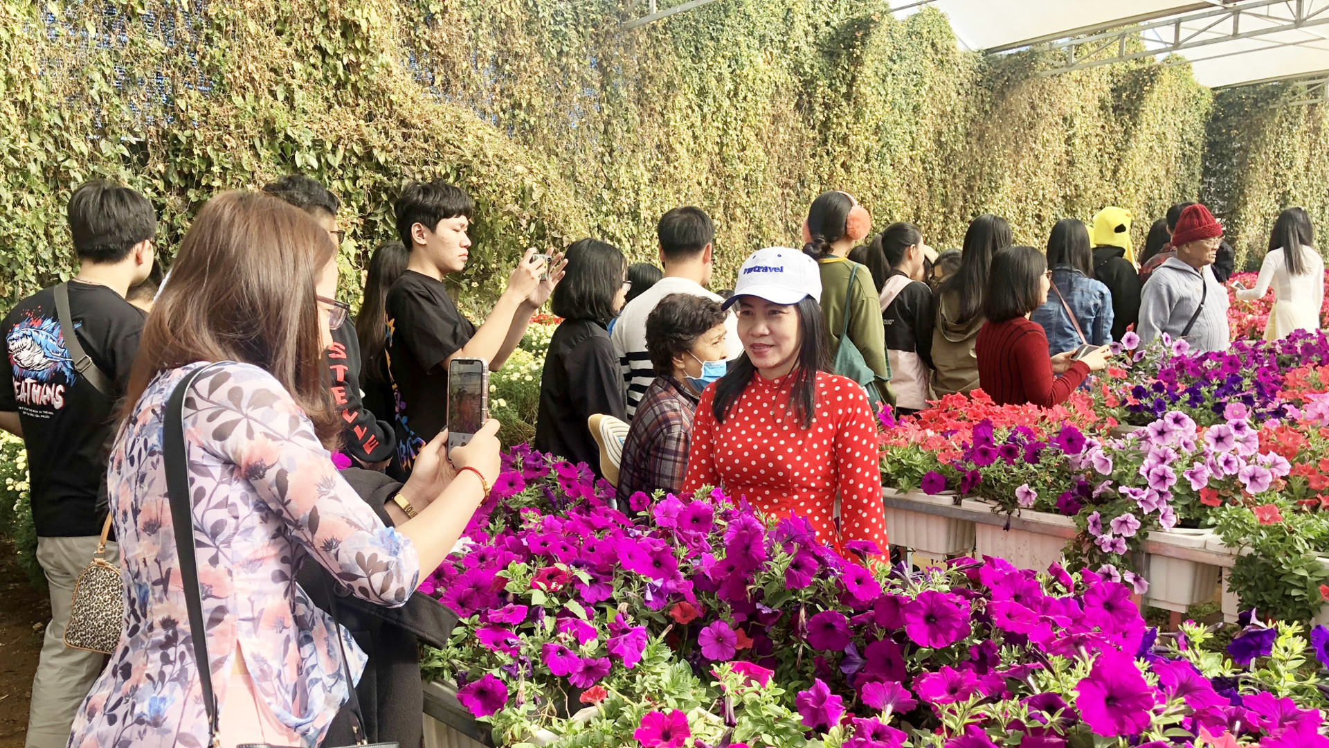 Lâm Đồng tăng cường quản lý các dịch vụ du lịch phục vụ khánh quốc tế