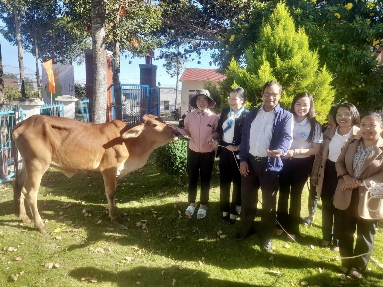 Trao bò cho hội viên phụ nữ nghèo huyện Di Linh