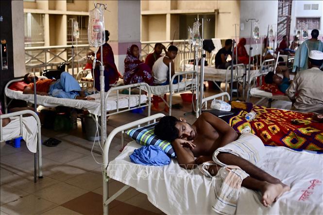 Bệnh nhân mắc sốt xuất huyết được điều trị tại bệnh viện ở Dhaka, Bangladesh, ngày 3/10/2023