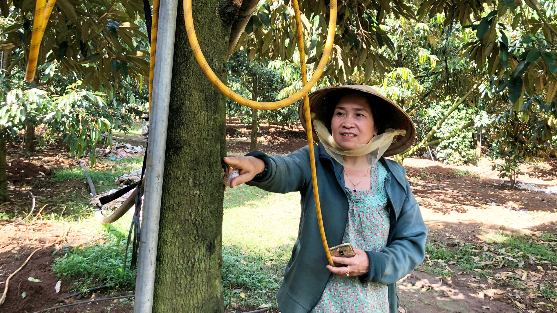 Chị Thu Trang kiểm tra hệ thống tưới trong vườn