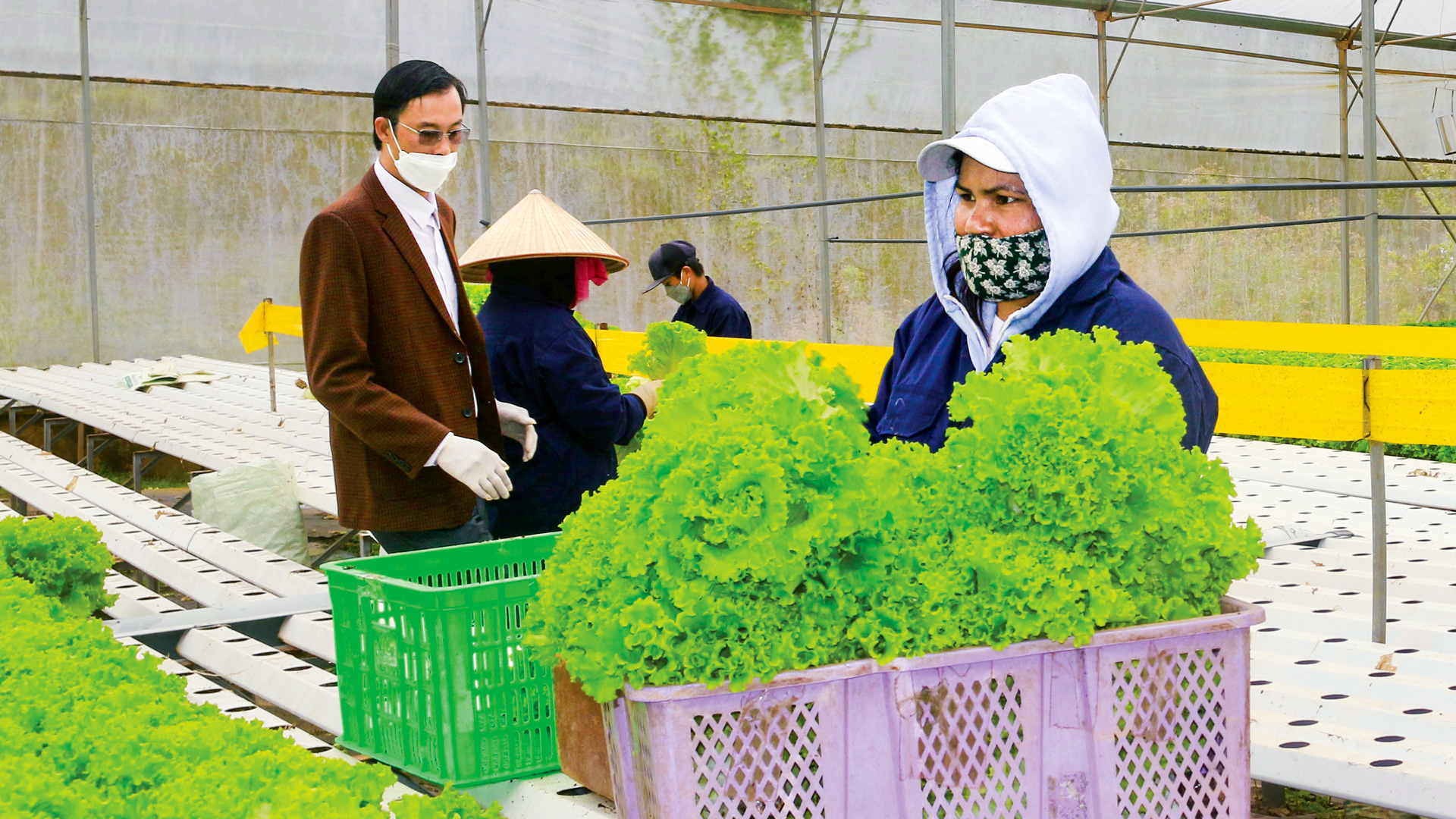 Lạc Dương: Nhiều cách làm sáng tạo, hiệu quả trong phong trào thi đua yêu nước