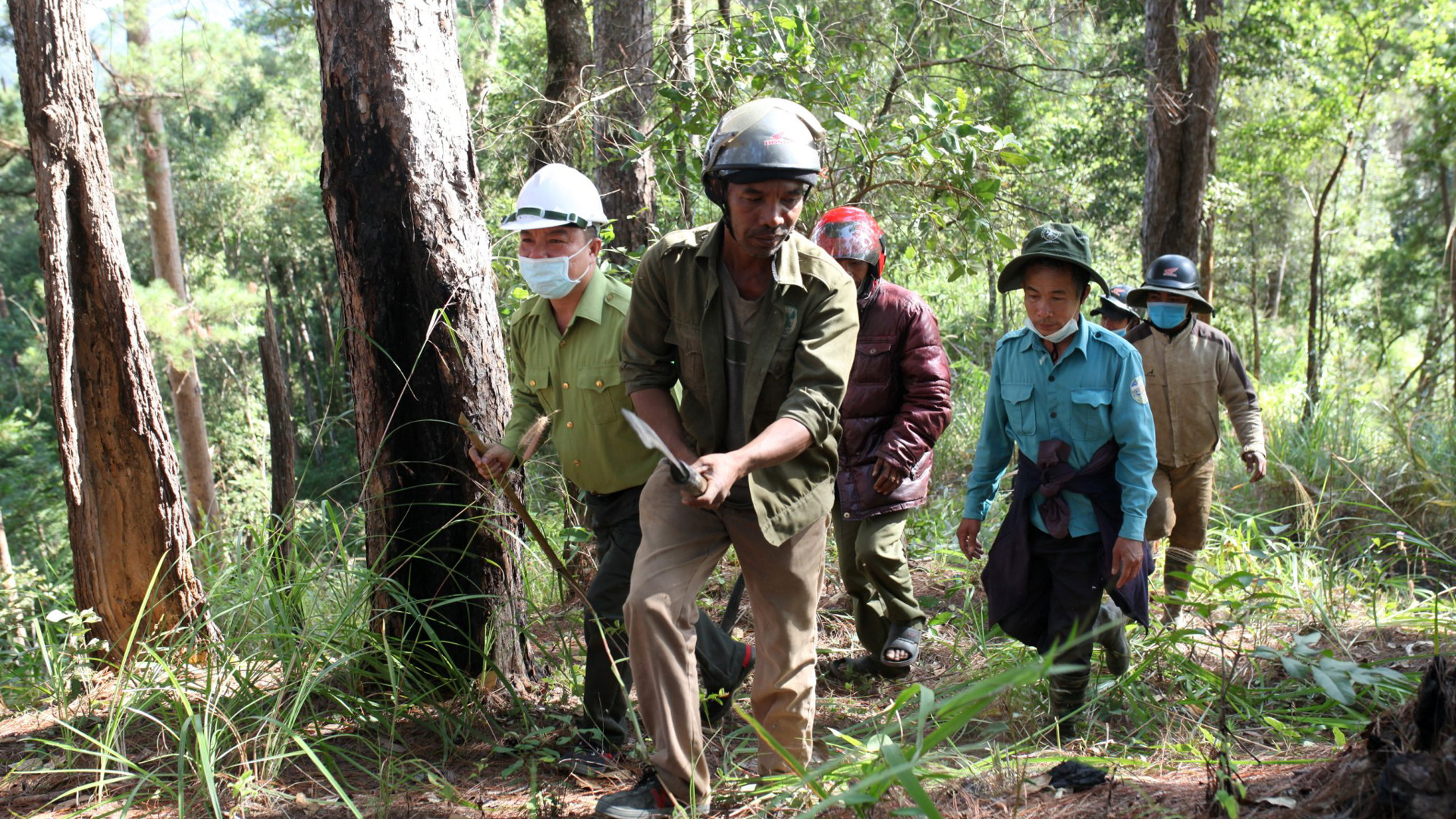 Ðam Rông: Chủ động làm tốt công tác quản lý, bảo vệ và phát triển rừng